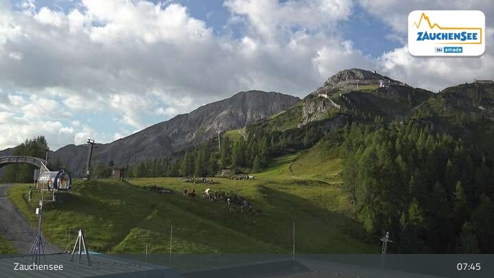 Archiv Foto Webcam Zauchensee - Gamskogelhütte