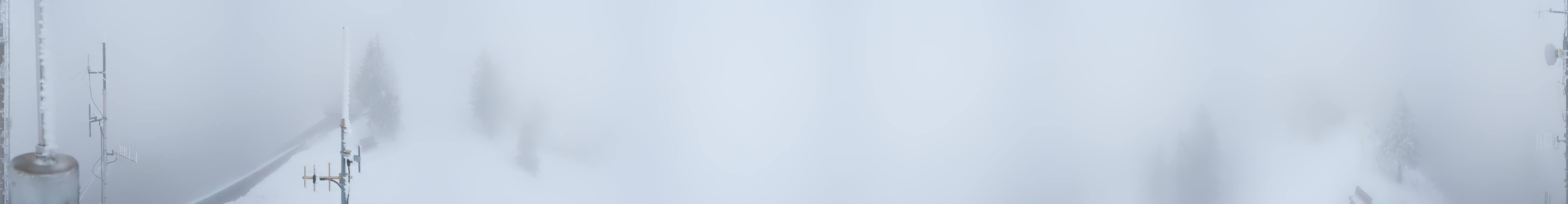 Archiv Foto Webcam Zwölferhorn im Salzkammergut