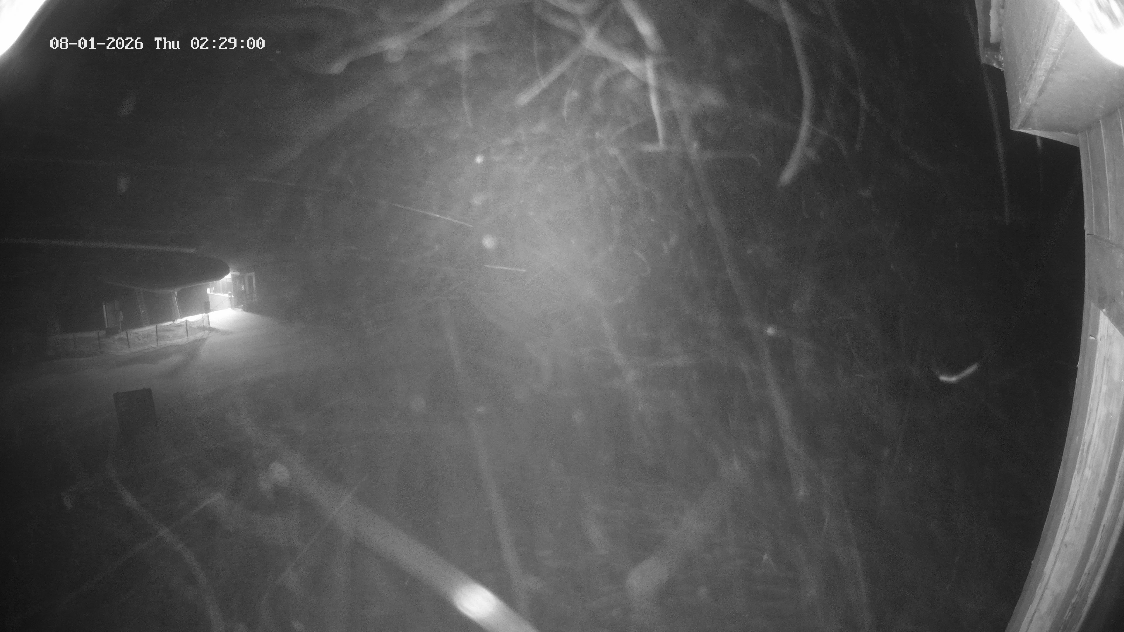 Archiv Foto Webcam Bergstation Venetbahn in Landeck