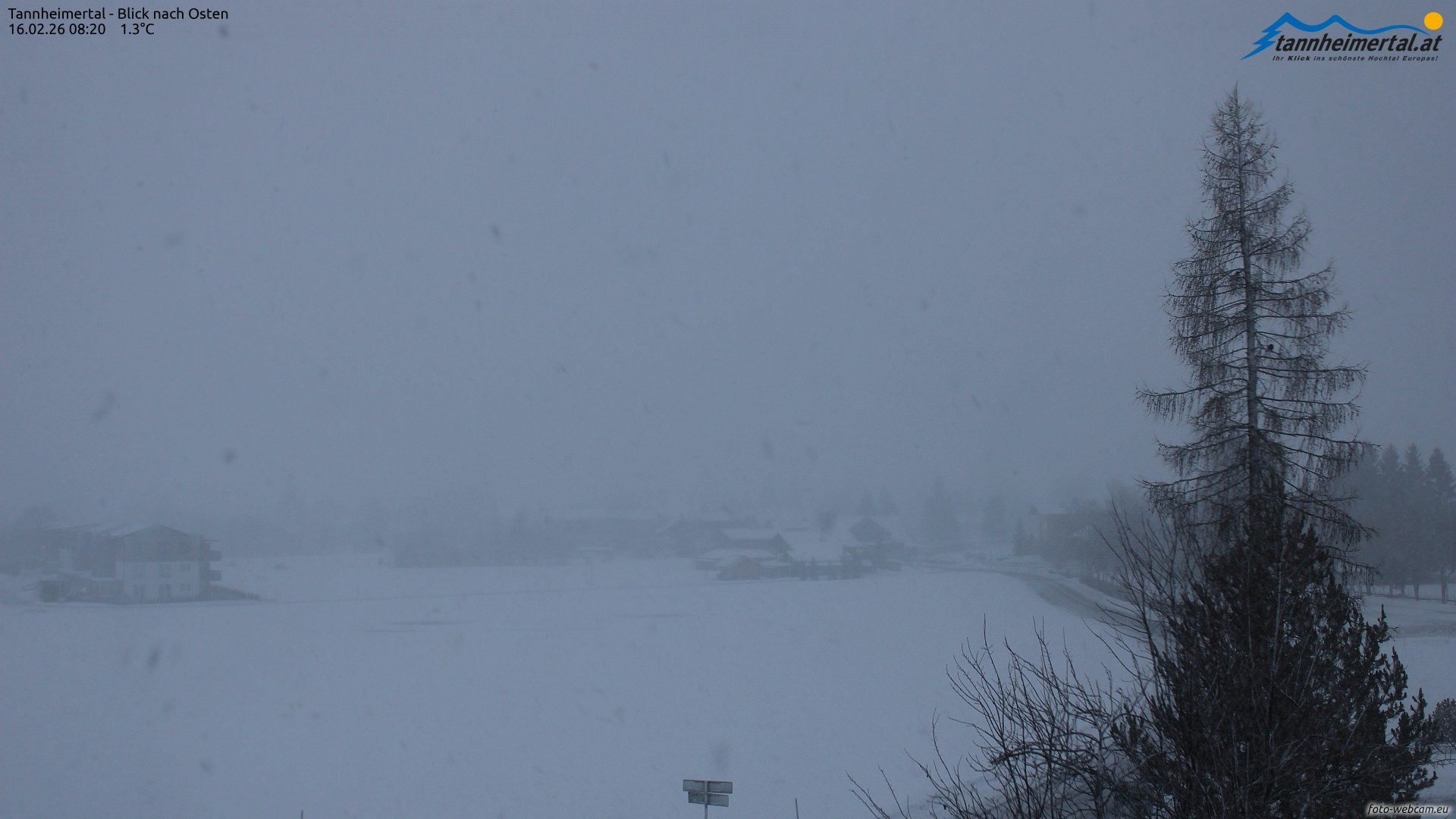 Archiv Foto Webcam Blick ins Tannheimer Tal