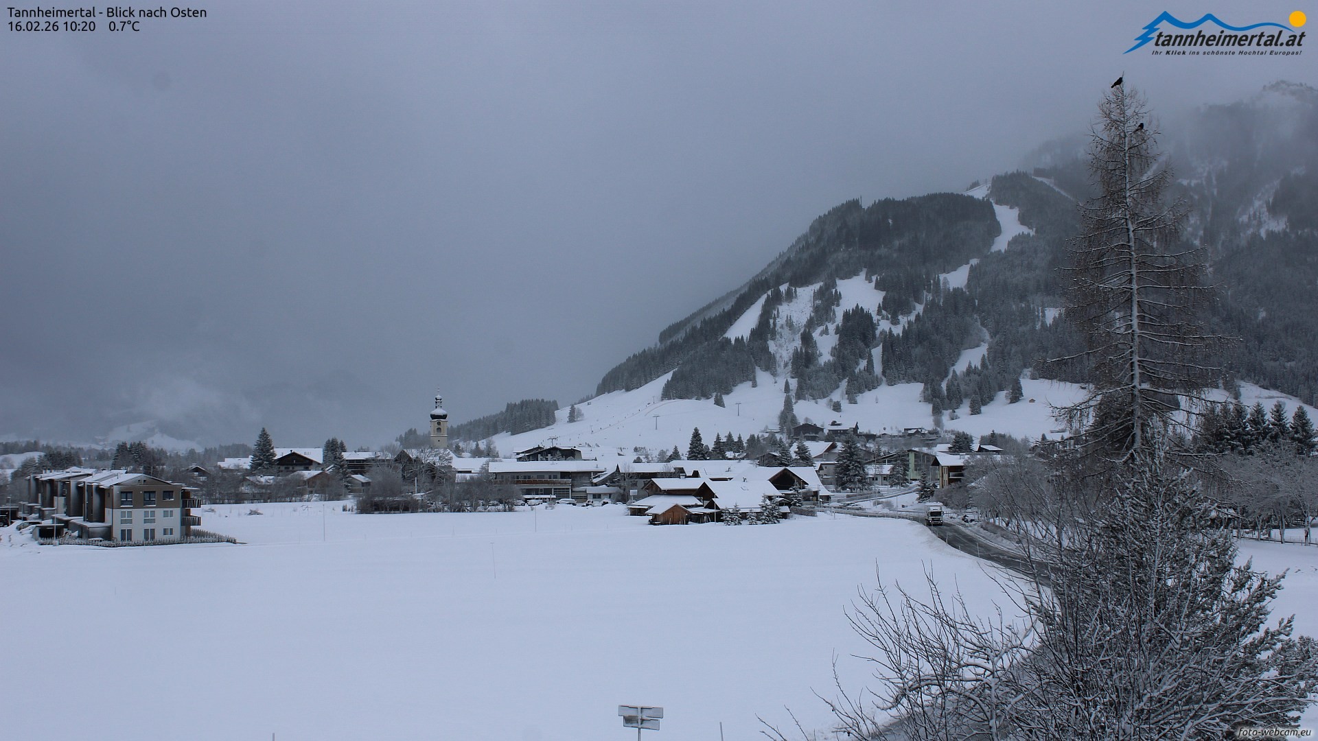 Archiv Foto Webcam Blick ins Tannheimer Tal