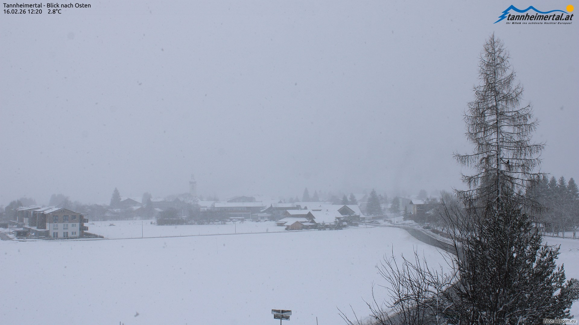 Archiv Foto Webcam Blick ins Tannheimer Tal