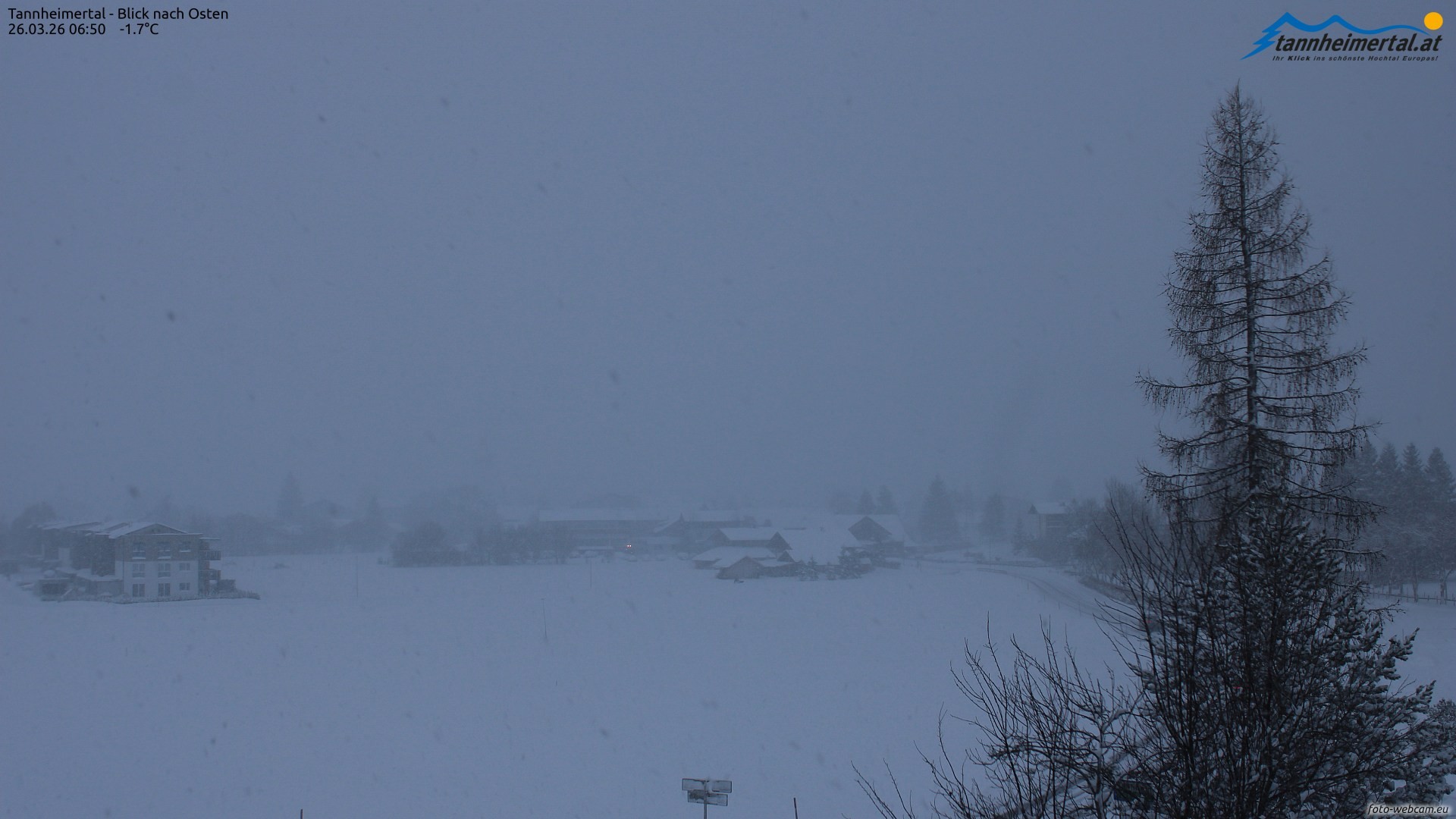 Archiv Foto Webcam Blick ins Tannheimer Tal