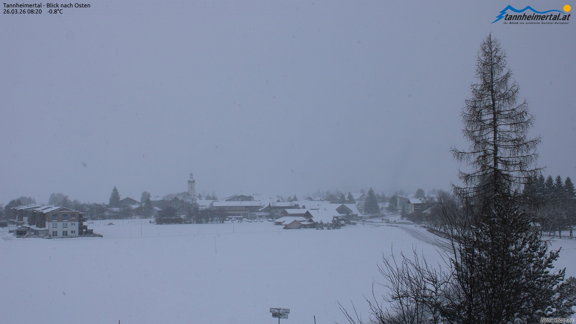 Archiv Foto Webcam Blick ins Tannheimer Tal