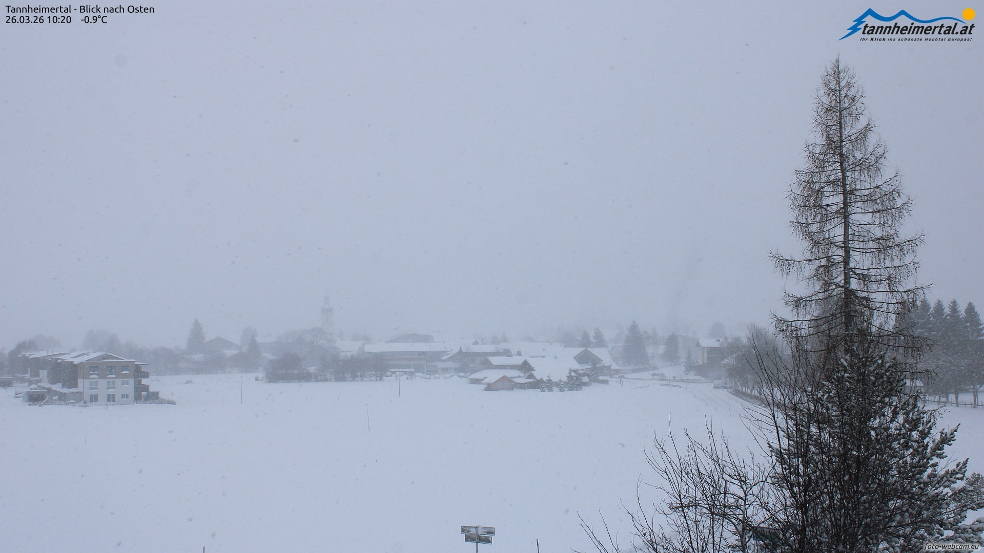 Archiv Foto Webcam Blick ins Tannheimer Tal