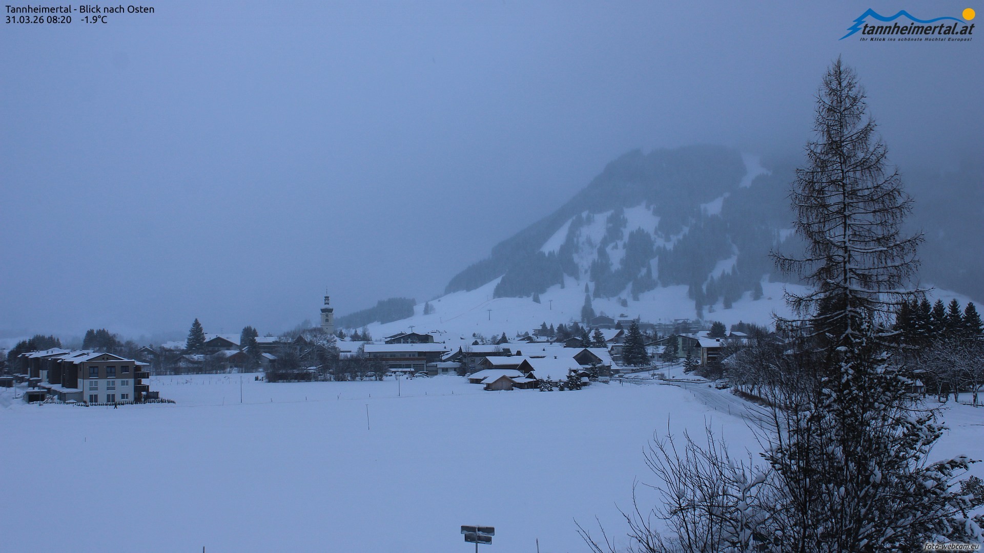 Archiv Foto Webcam Blick ins Tannheimer Tal