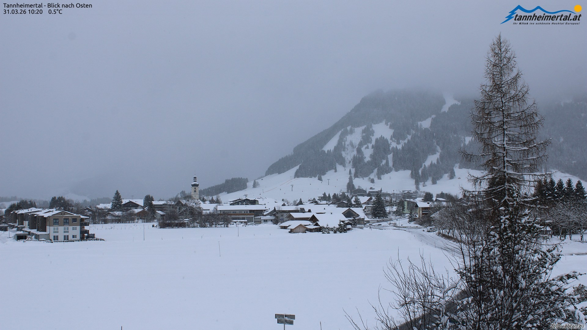 Archiv Foto Webcam Blick ins Tannheimer Tal