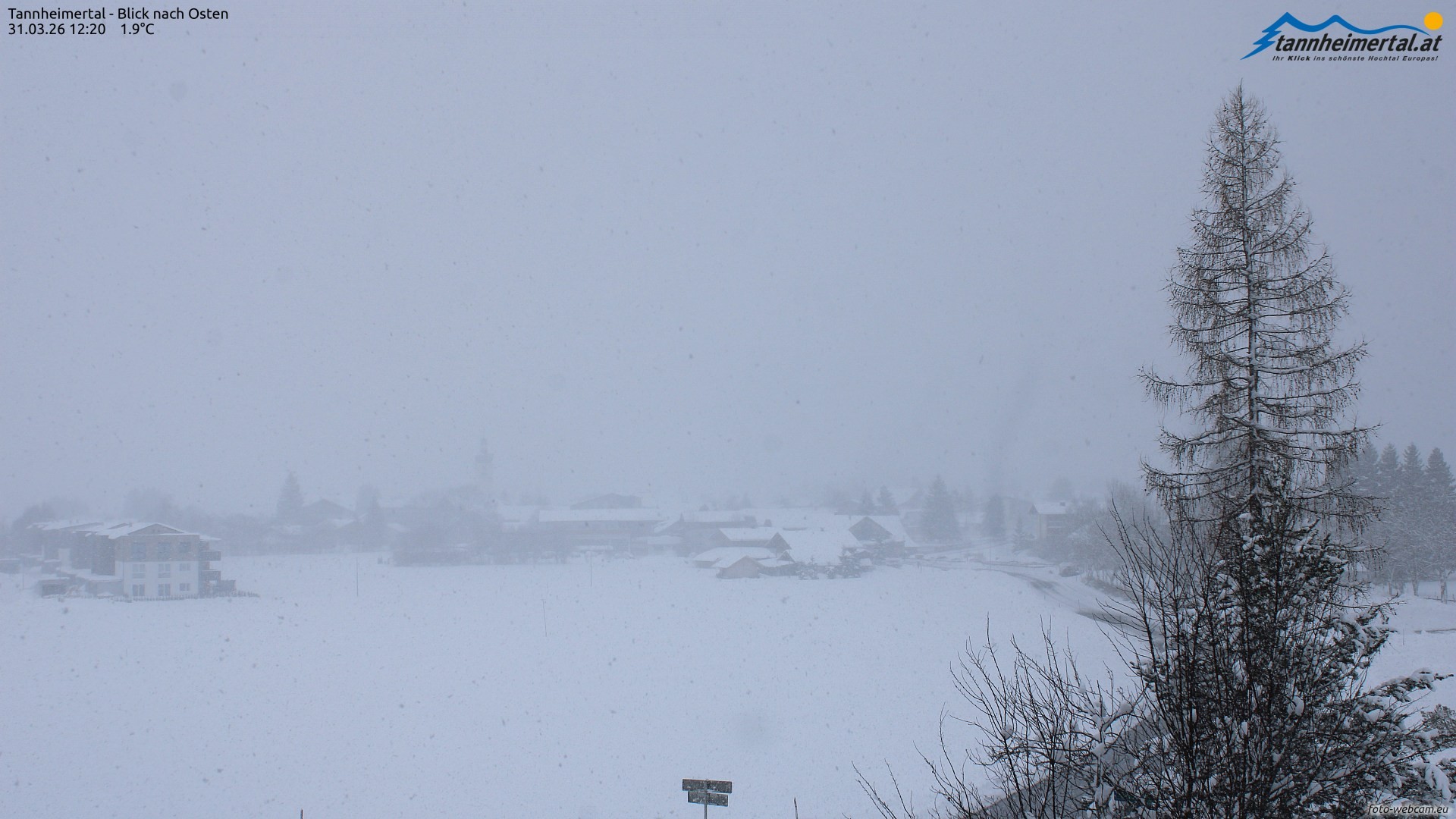 Archiv Foto Webcam Blick ins Tannheimer Tal