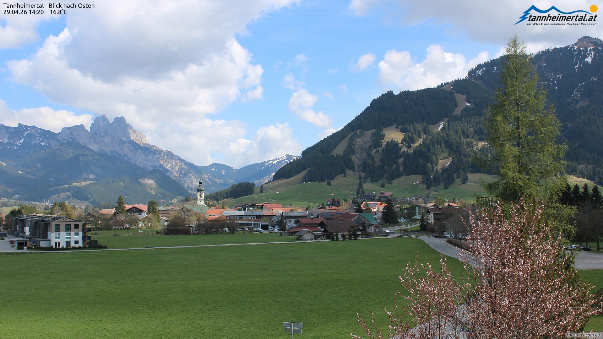 Archiv Foto Webcam Blick ins Tannheimer Tal