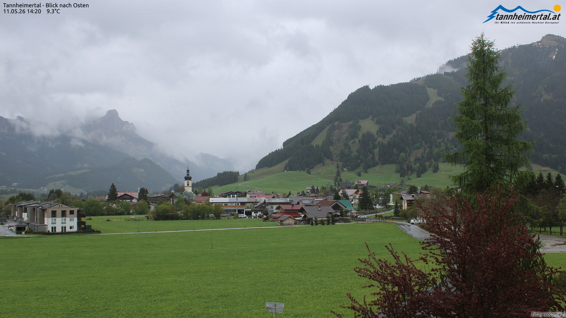 Archiv Foto Webcam Blick ins Tannheimer Tal
