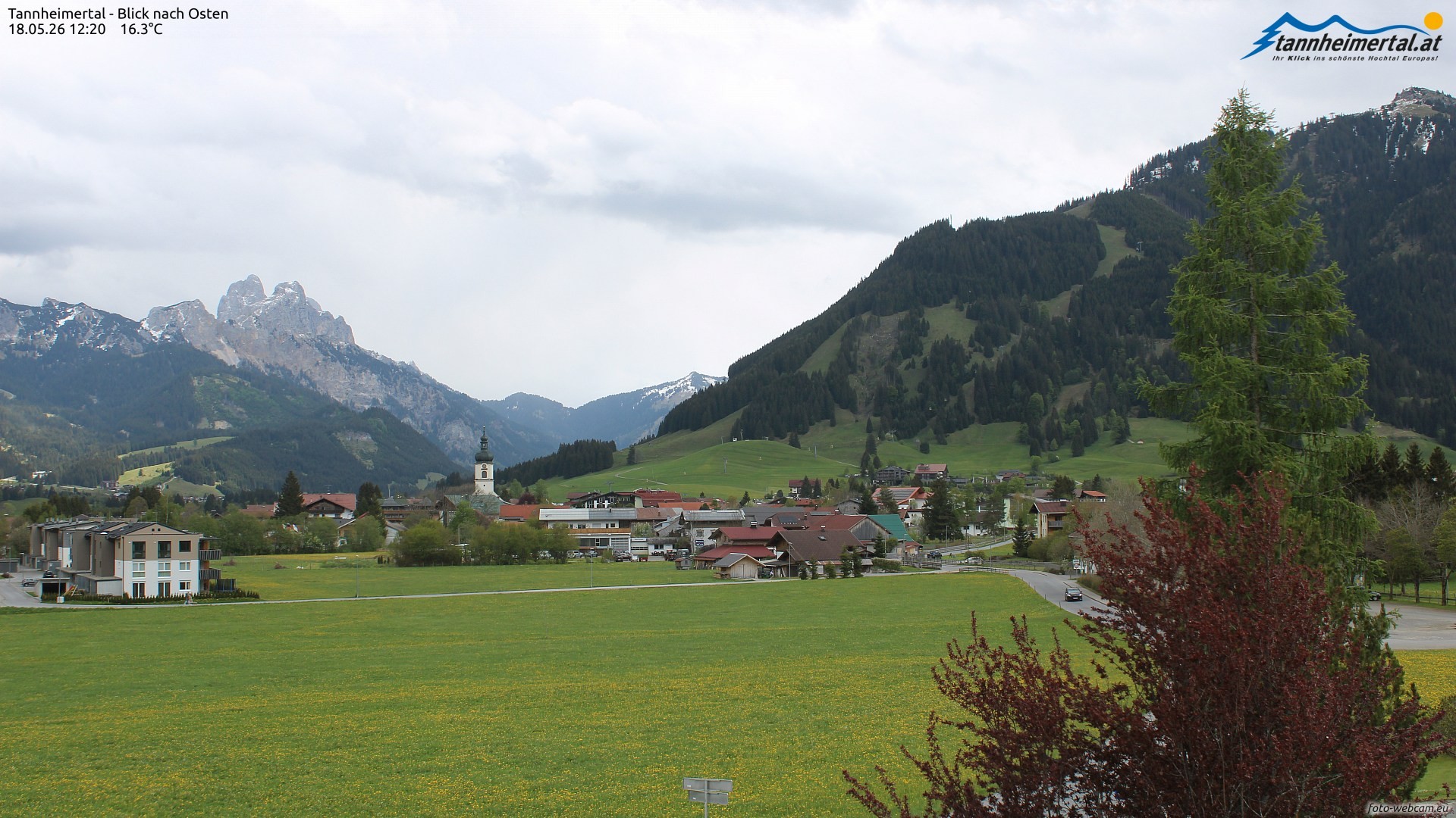 Archiv Foto Webcam Blick ins Tannheimer Tal