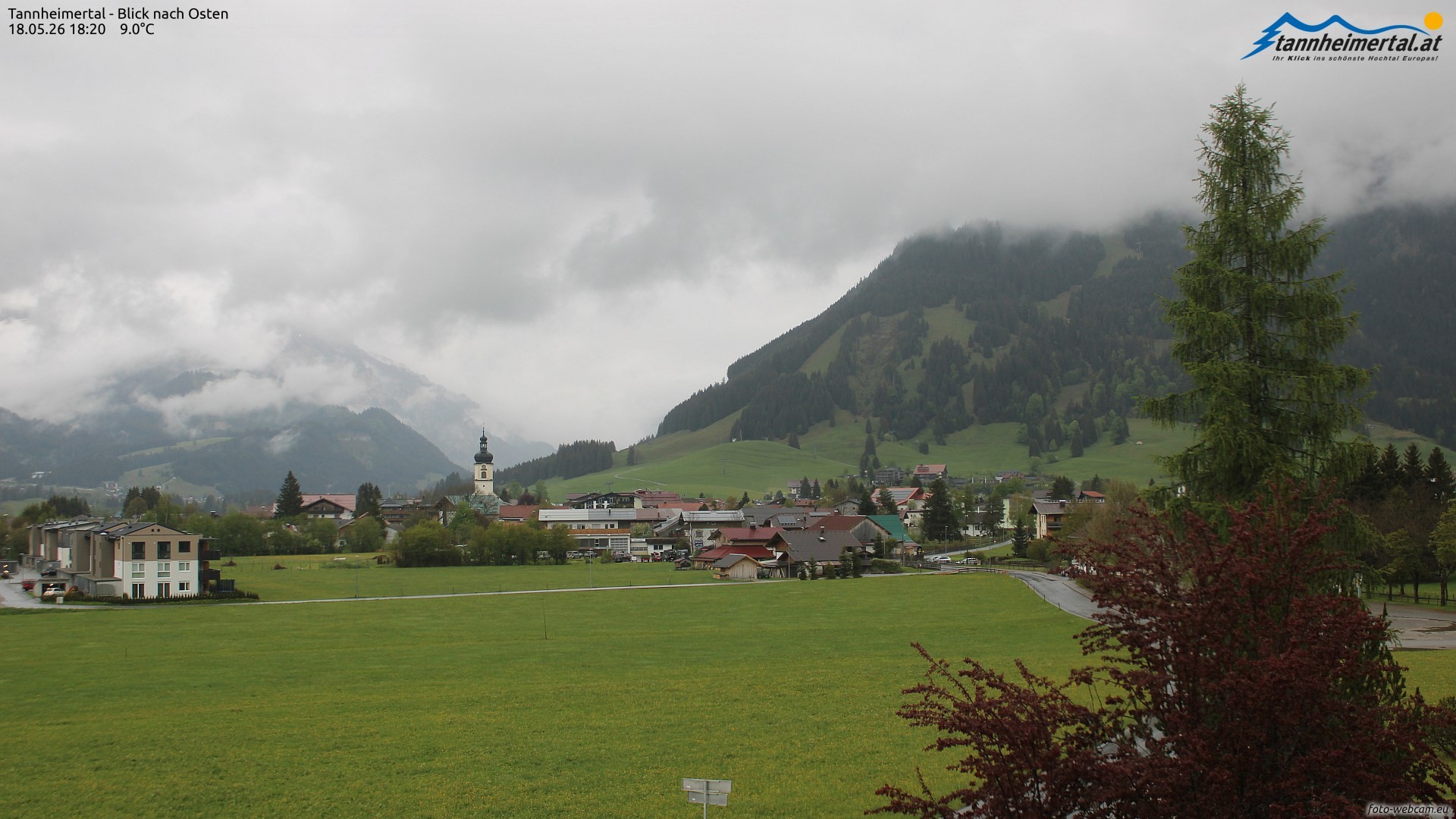 Archiv Foto Webcam Blick ins Tannheimer Tal