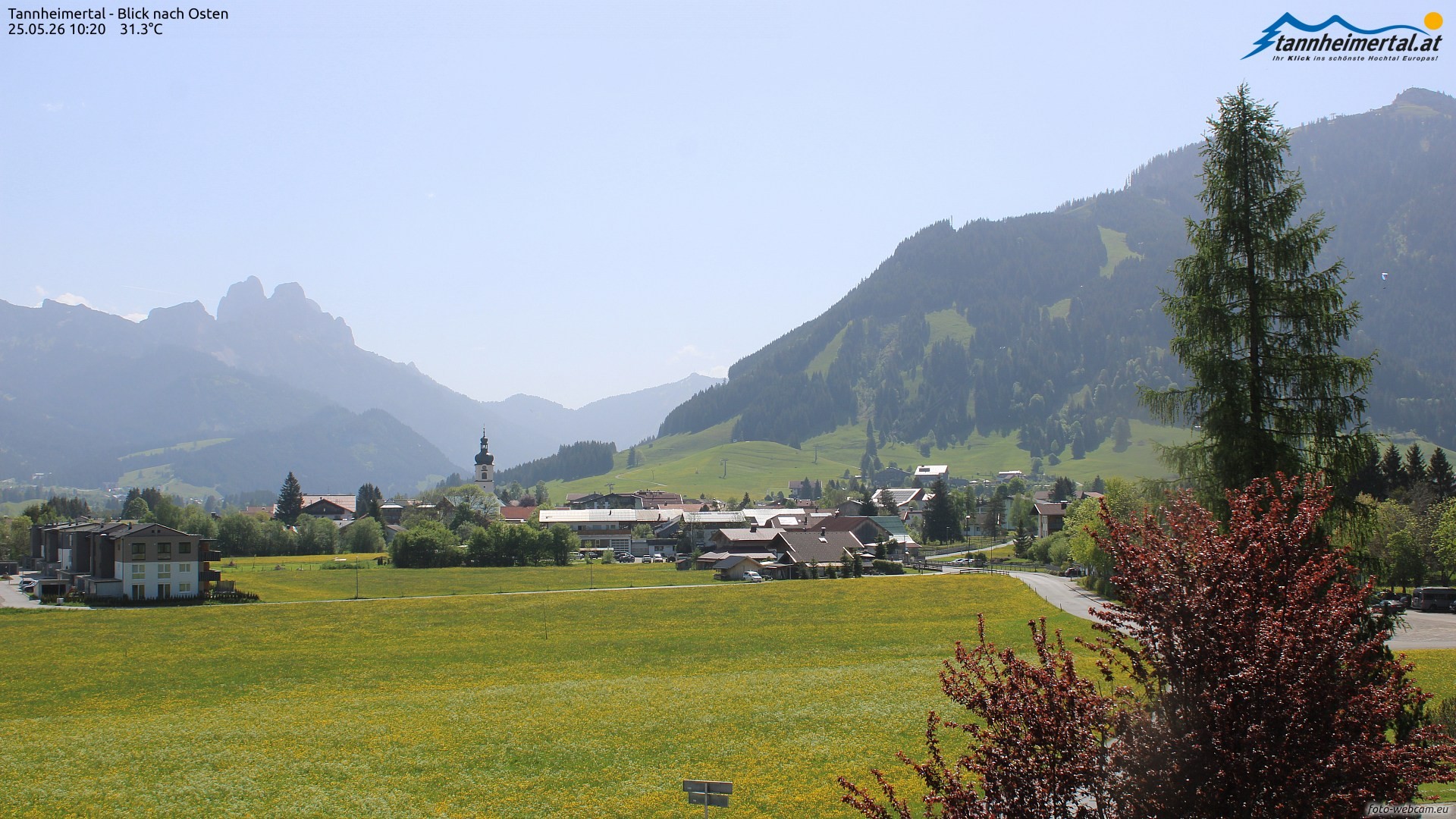 Archiv Foto Webcam Blick ins Tannheimer Tal