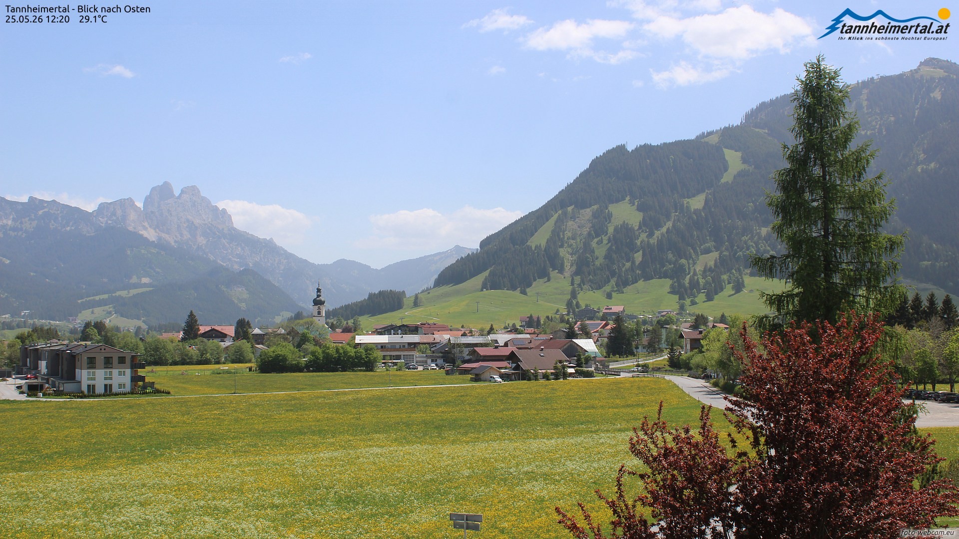 Archiv Foto Webcam Blick ins Tannheimer Tal