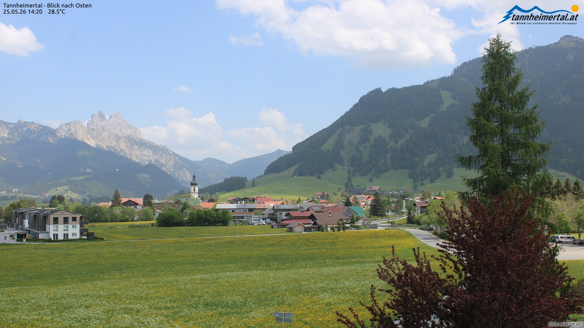 Archiv Foto Webcam Blick ins Tannheimer Tal