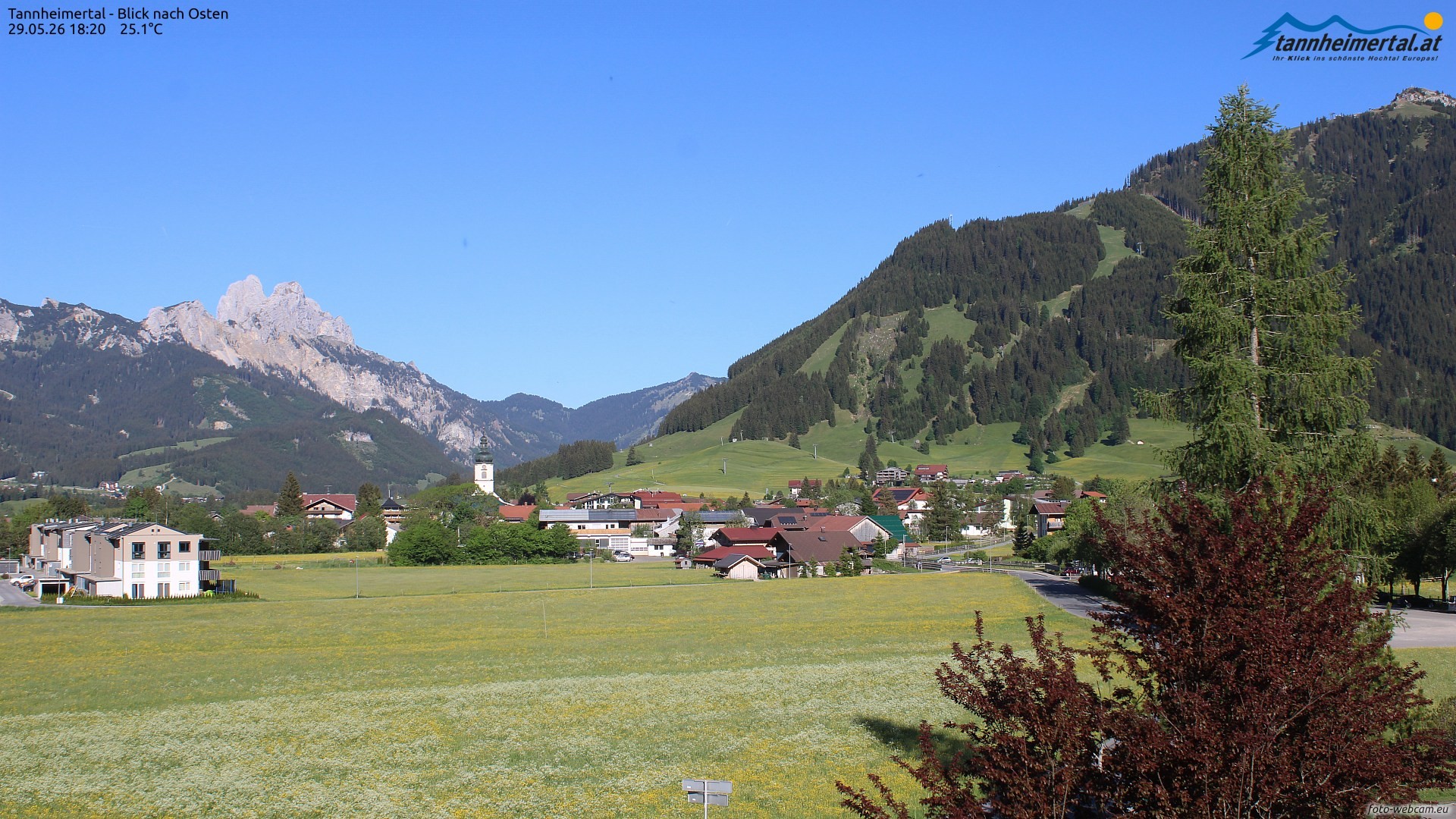Archiv Foto Webcam Blick ins Tannheimer Tal