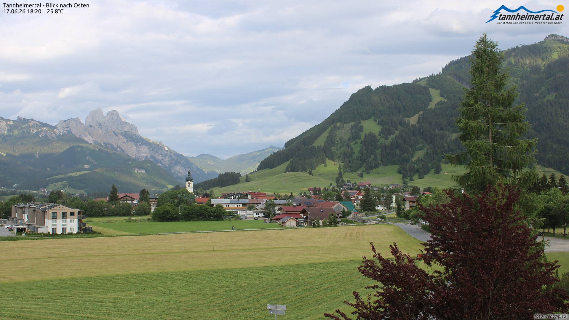Archiv Foto Webcam Blick ins Tannheimer Tal