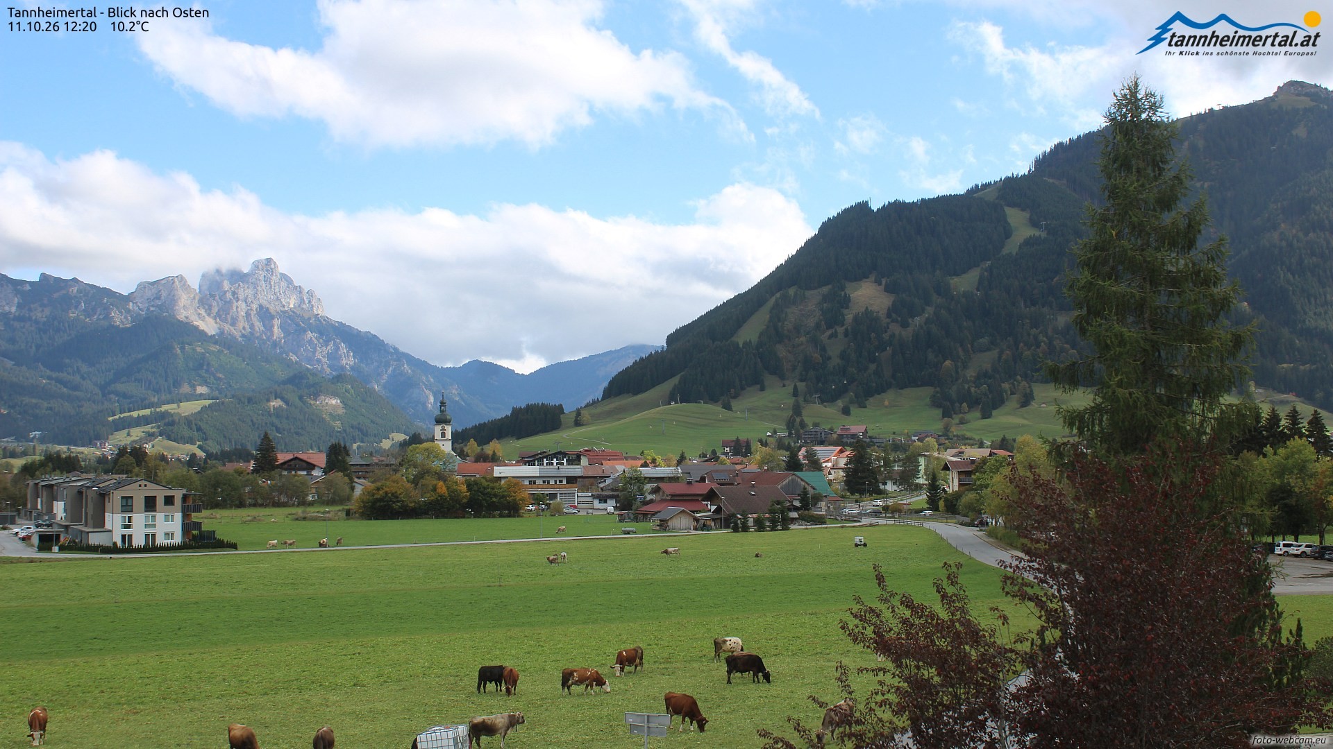 Archiv Foto Webcam Blick ins Tannheimer Tal