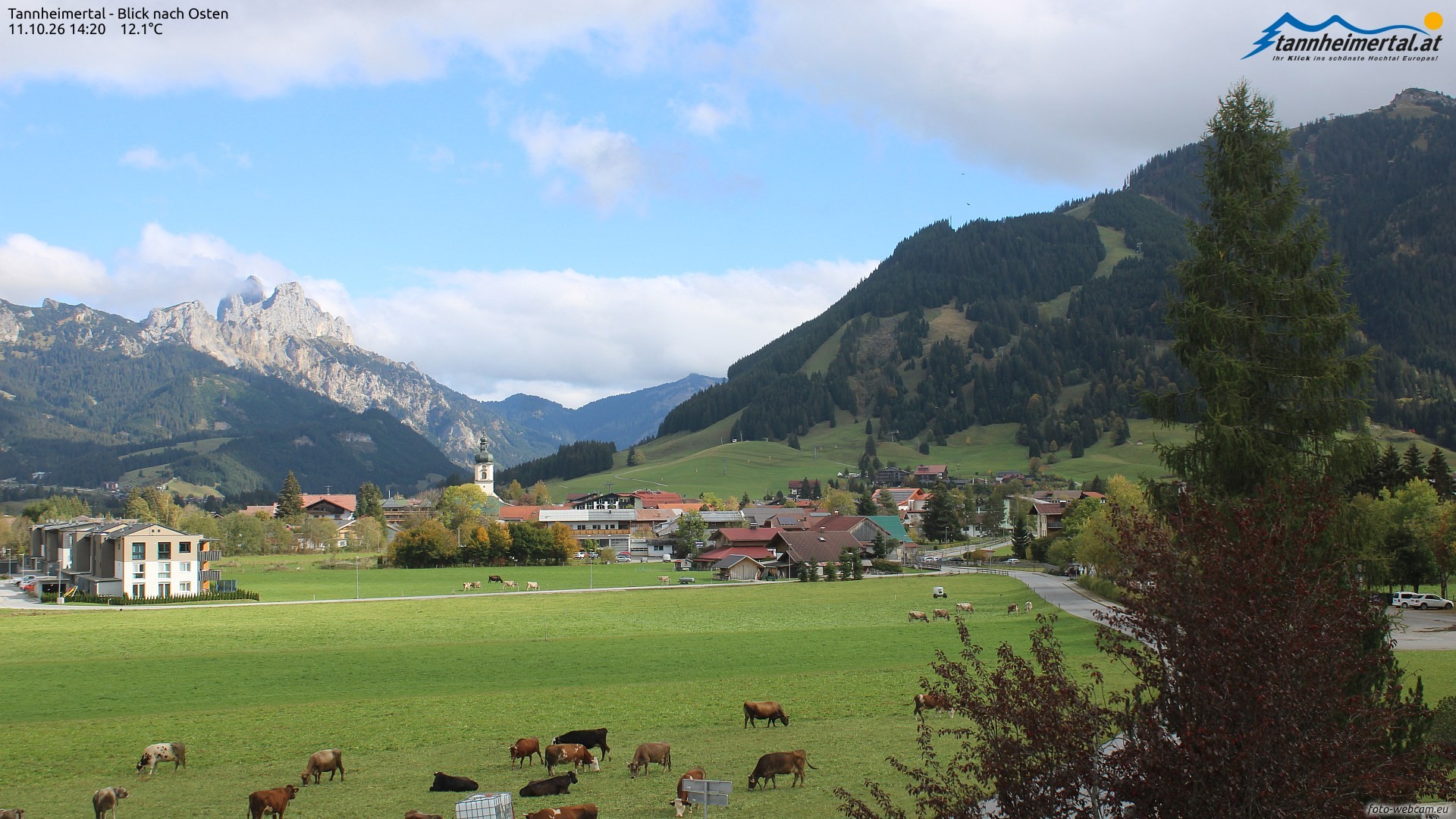 Archiv Foto Webcam Blick ins Tannheimer Tal