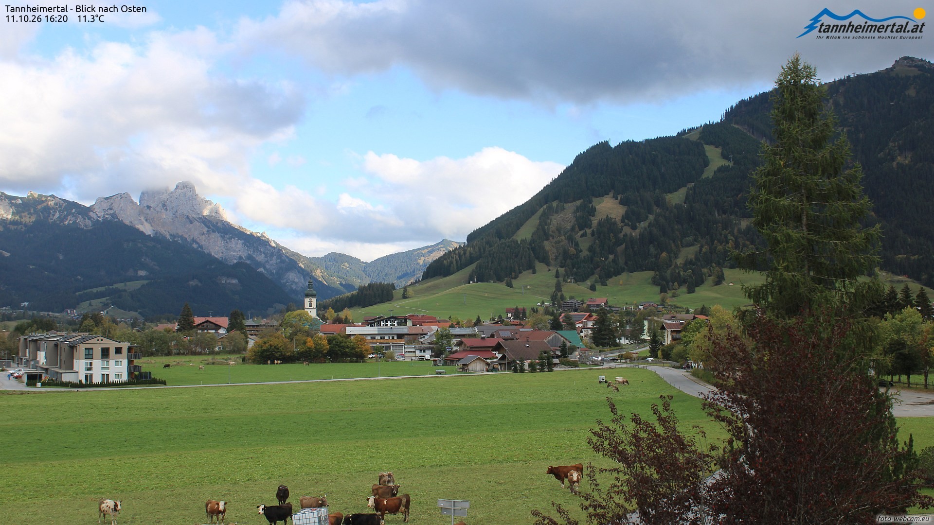 Archiv Foto Webcam Blick ins Tannheimer Tal