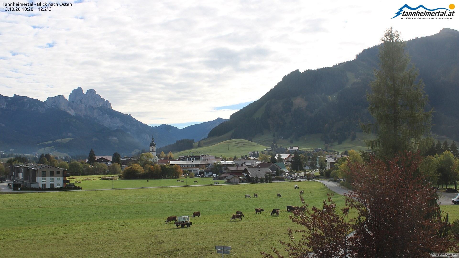 Archiv Foto Webcam Blick ins Tannheimer Tal