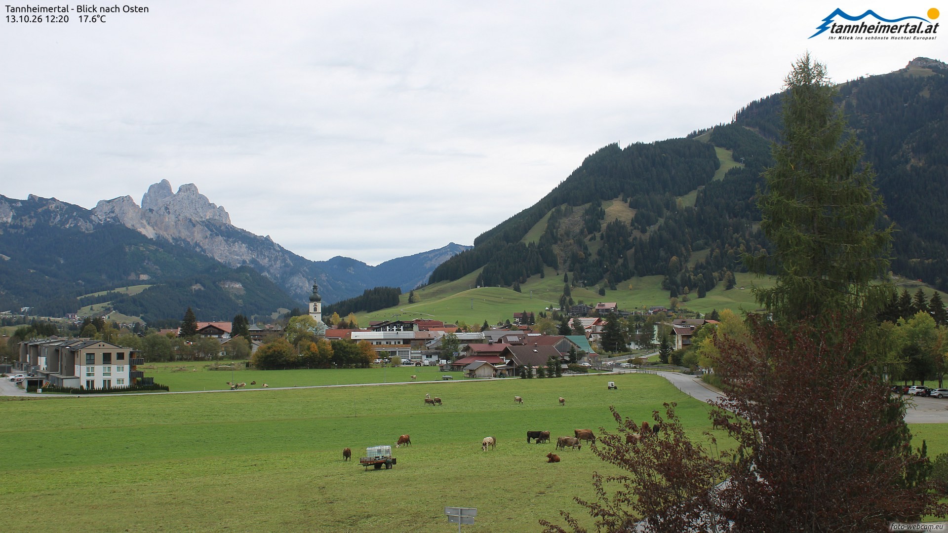 Archiv Foto Webcam Blick ins Tannheimer Tal