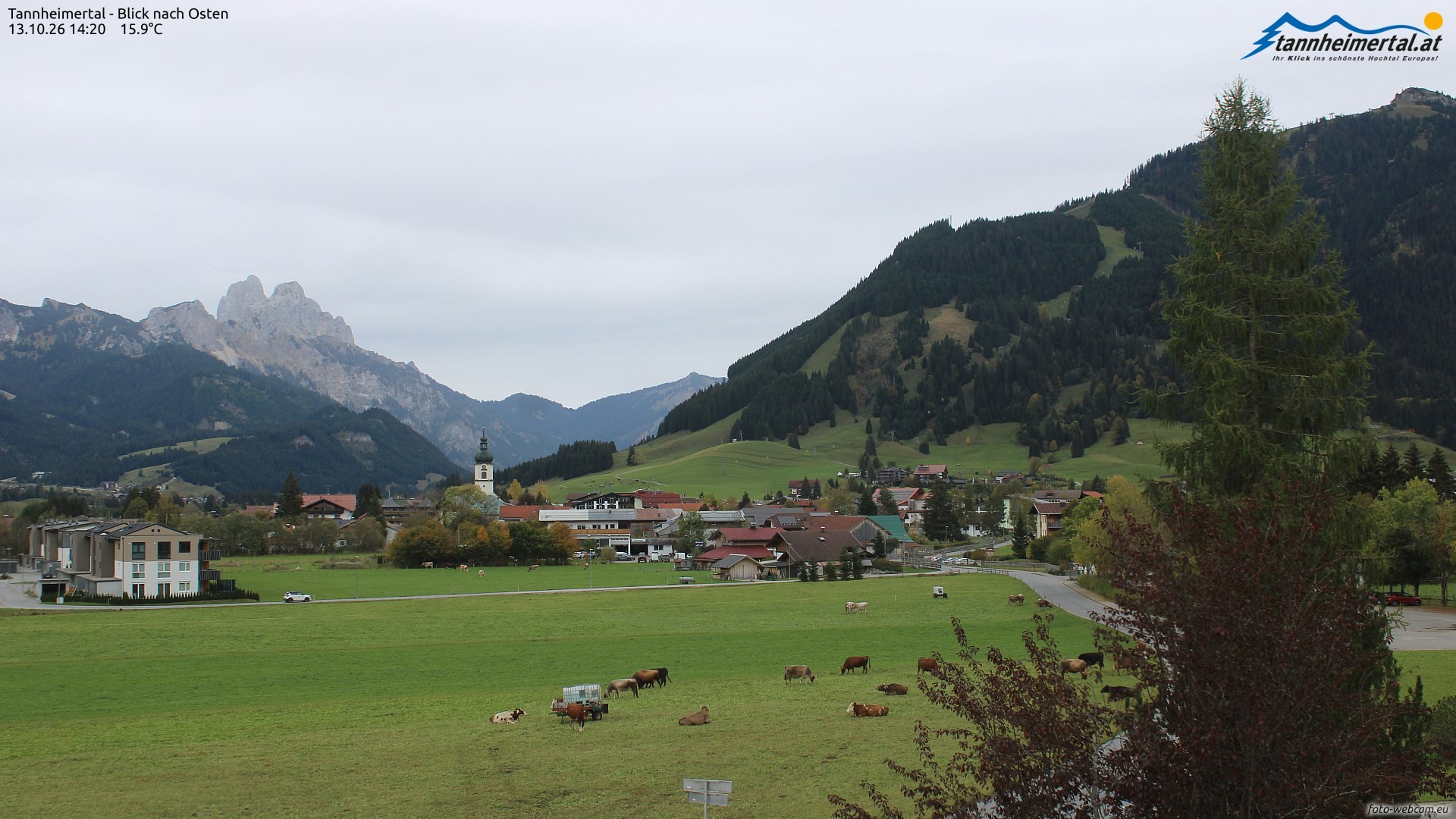 Archiv Foto Webcam Blick ins Tannheimer Tal