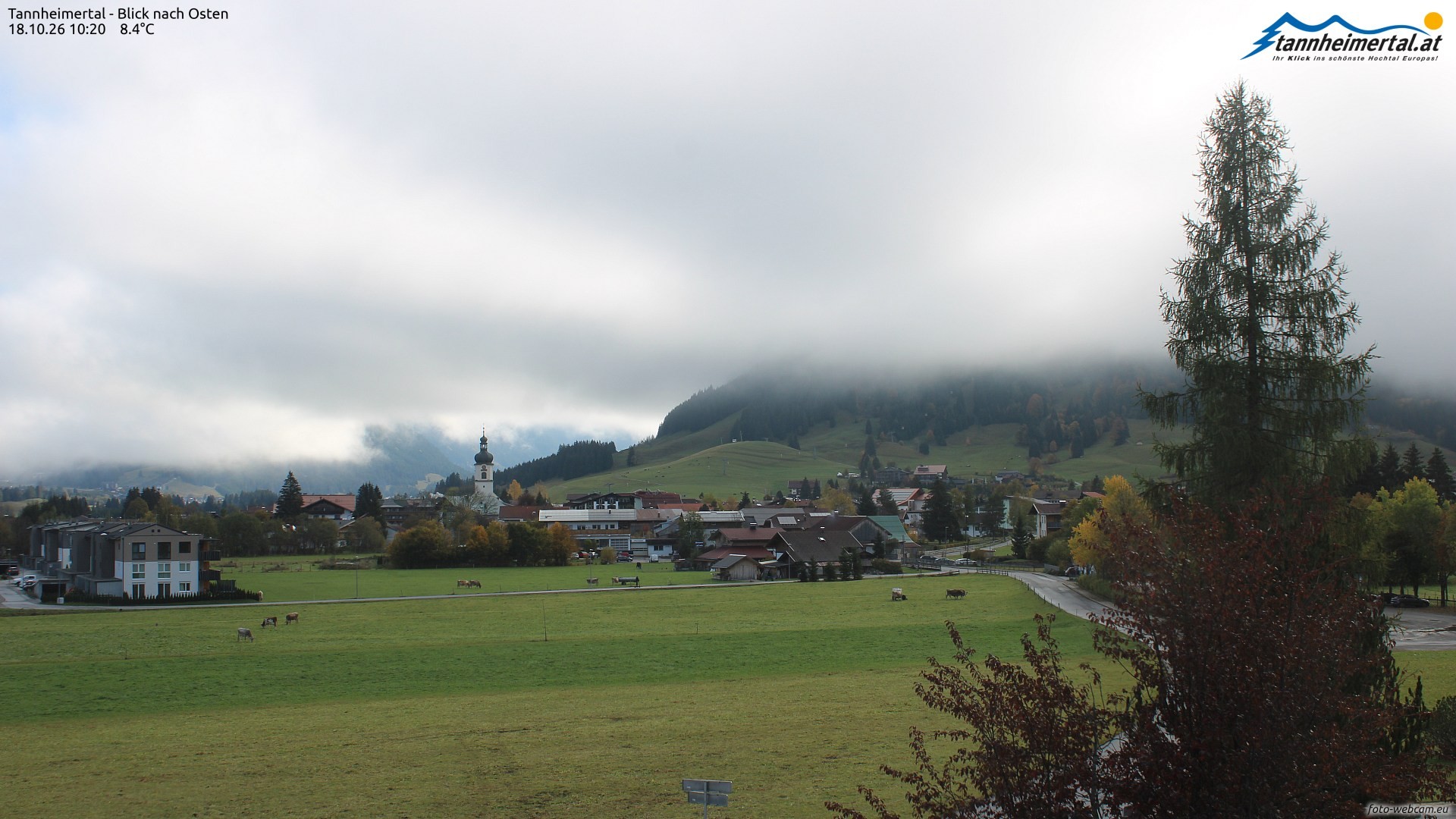 Archiv Foto Webcam Blick ins Tannheimer Tal