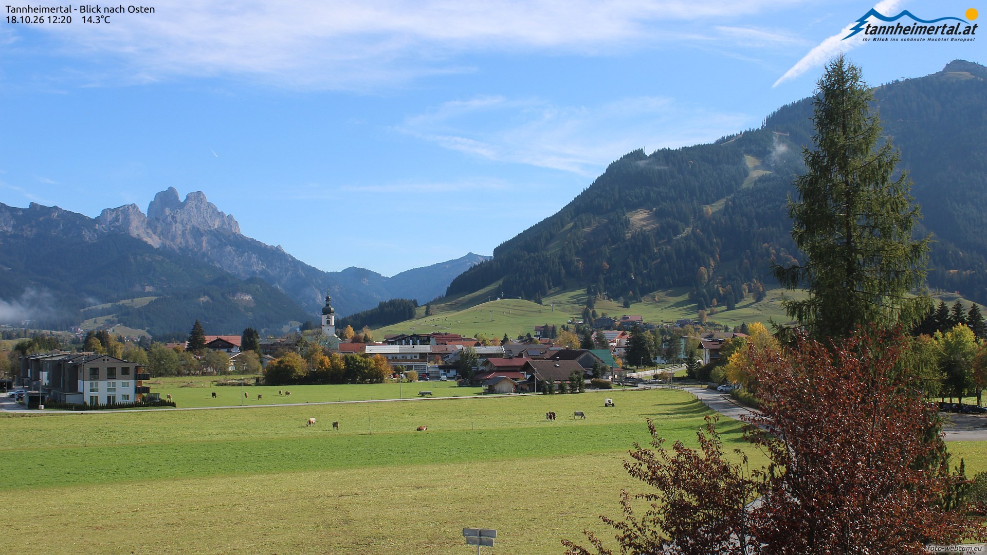 Archiv Foto Webcam Blick ins Tannheimer Tal