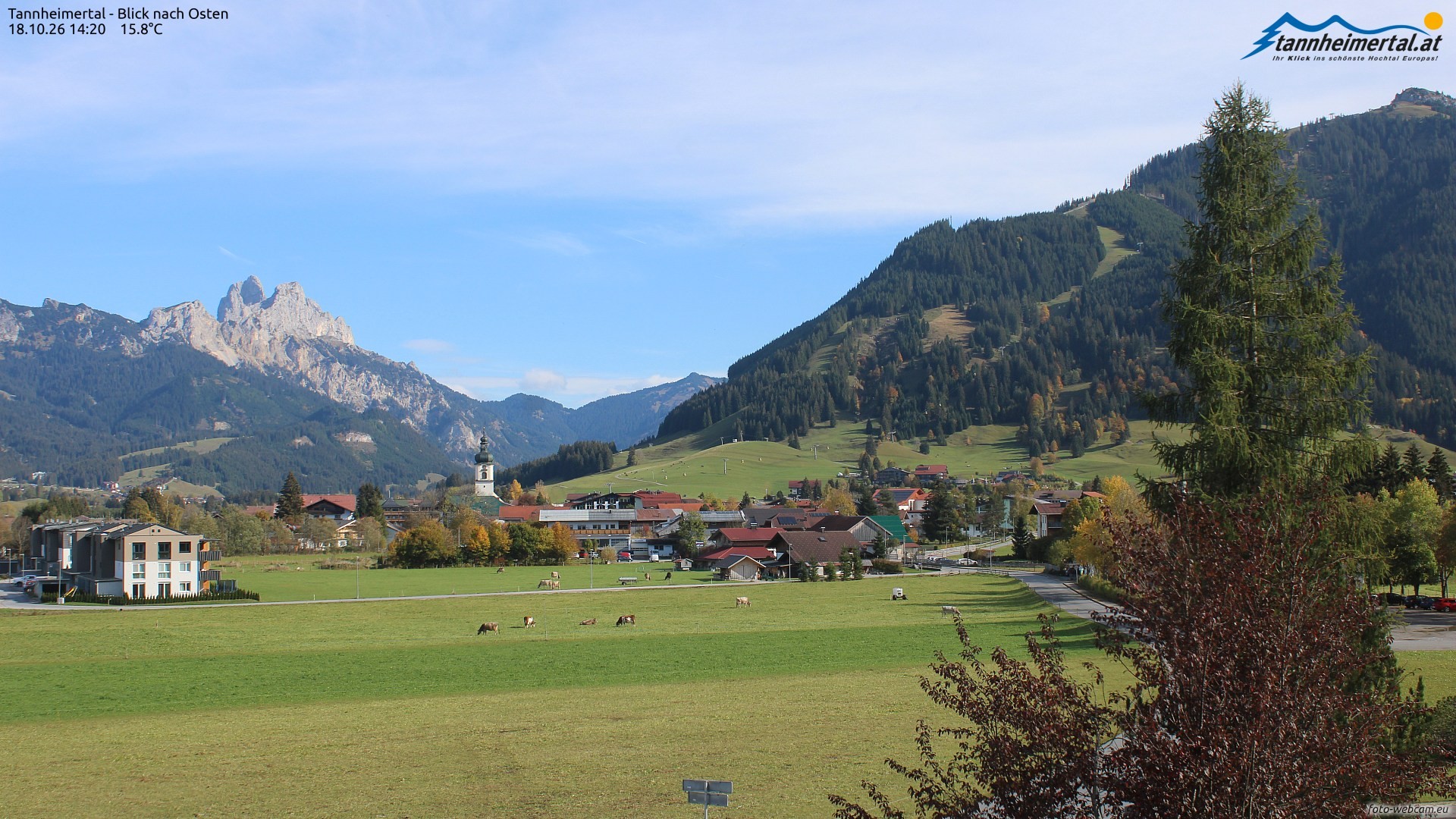 Archiv Foto Webcam Blick ins Tannheimer Tal