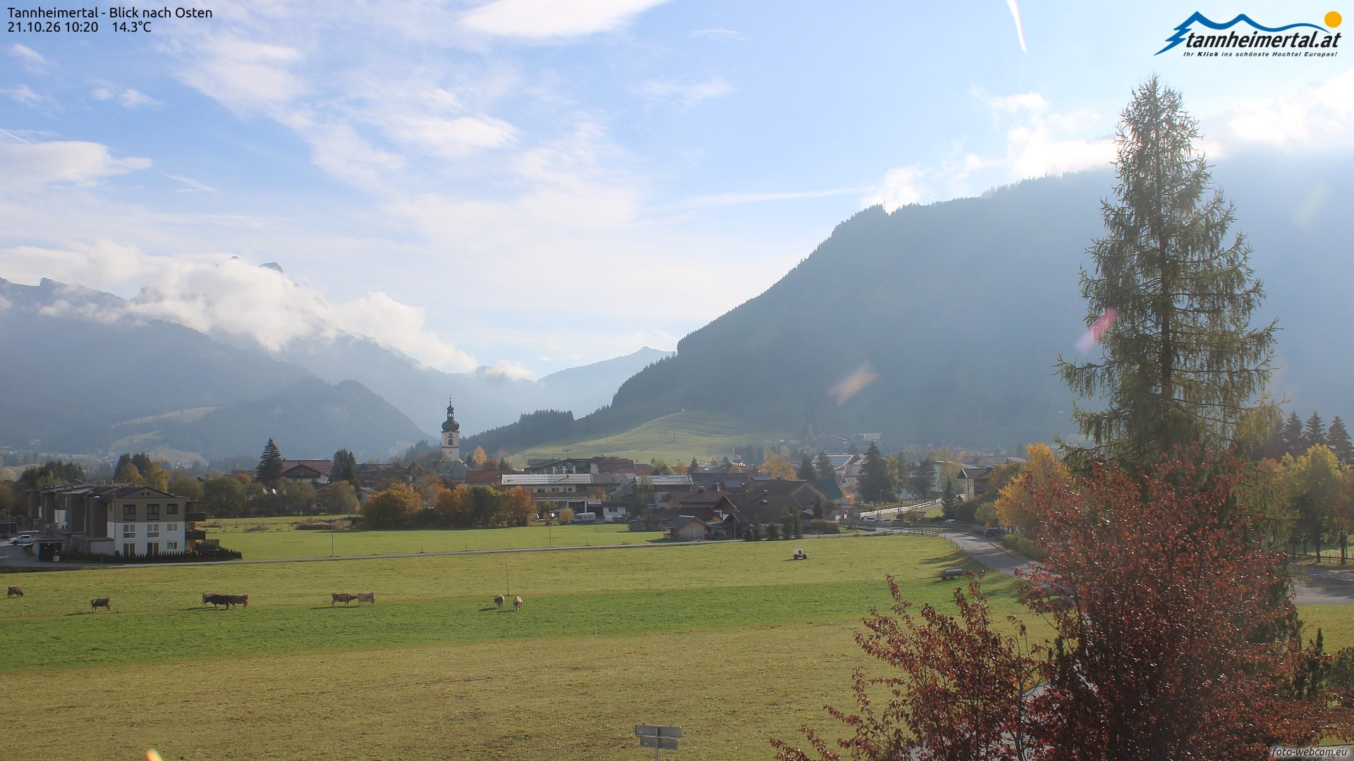 Archiv Foto Webcam Blick ins Tannheimer Tal