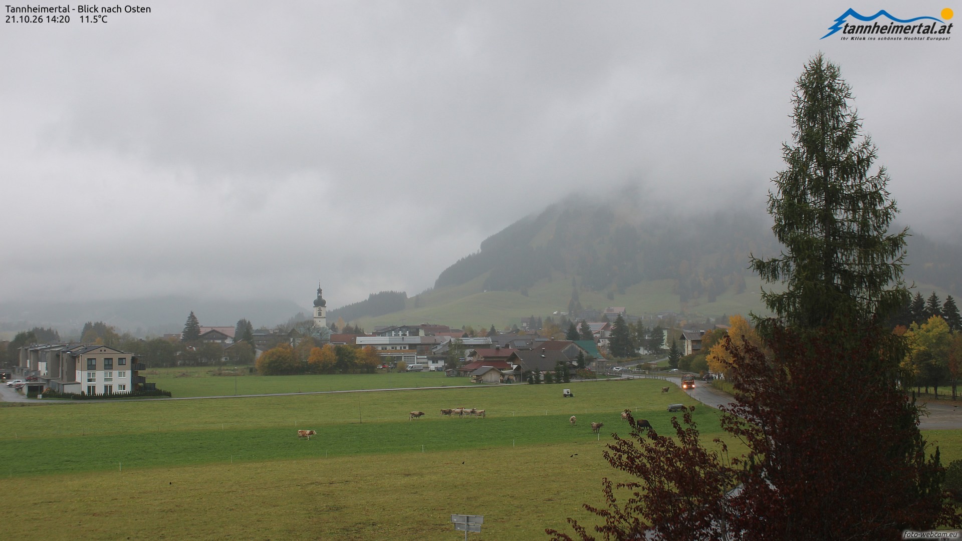 Archiv Foto Webcam Blick ins Tannheimer Tal