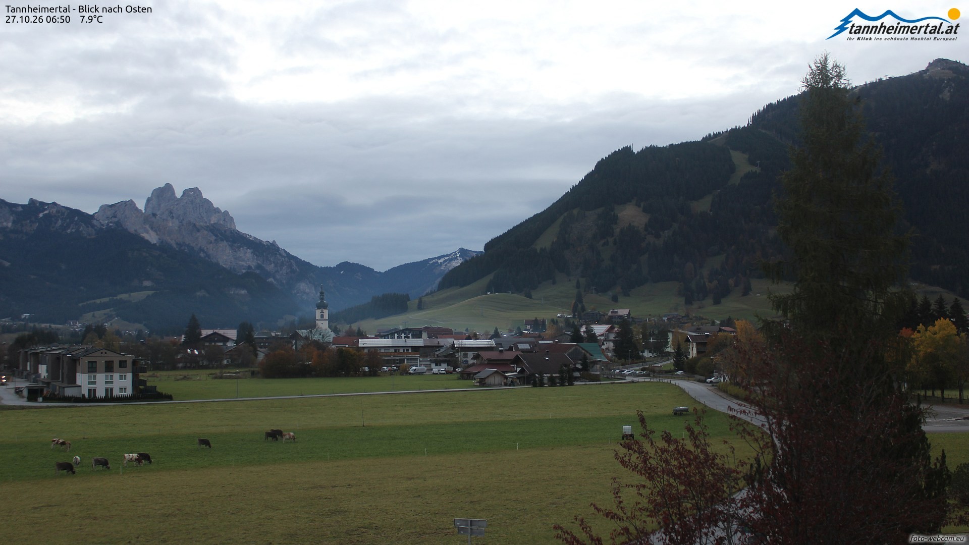 Archiv Foto Webcam Blick ins Tannheimer Tal
