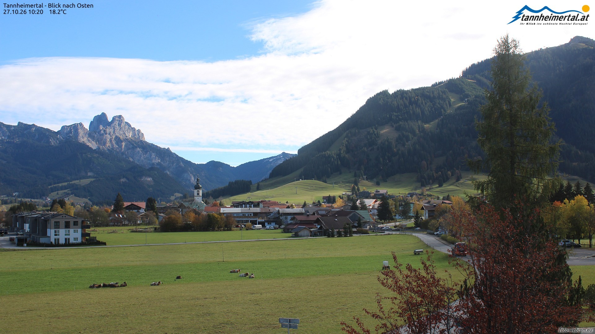 Archiv Foto Webcam Blick ins Tannheimer Tal