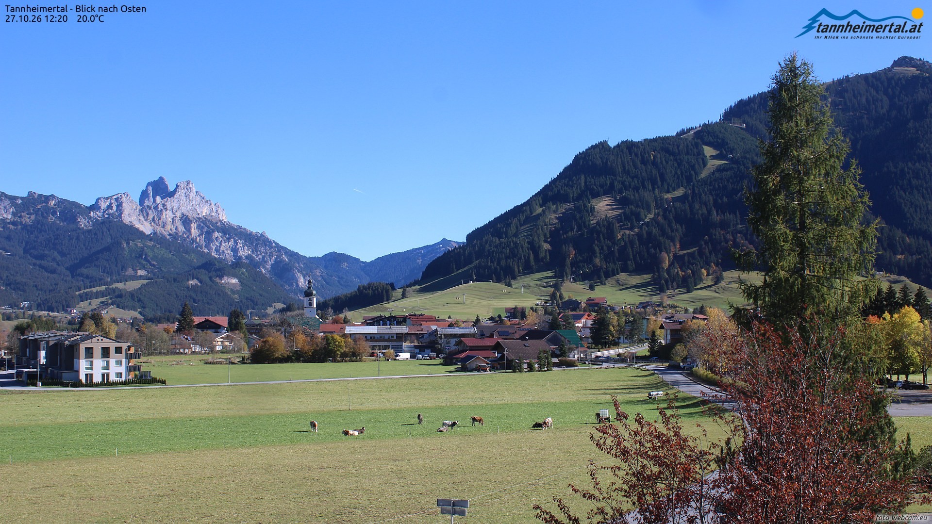 Archiv Foto Webcam Blick ins Tannheimer Tal
