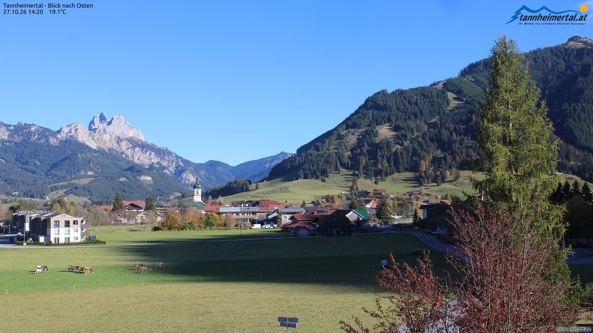 Archiv Foto Webcam Blick ins Tannheimer Tal