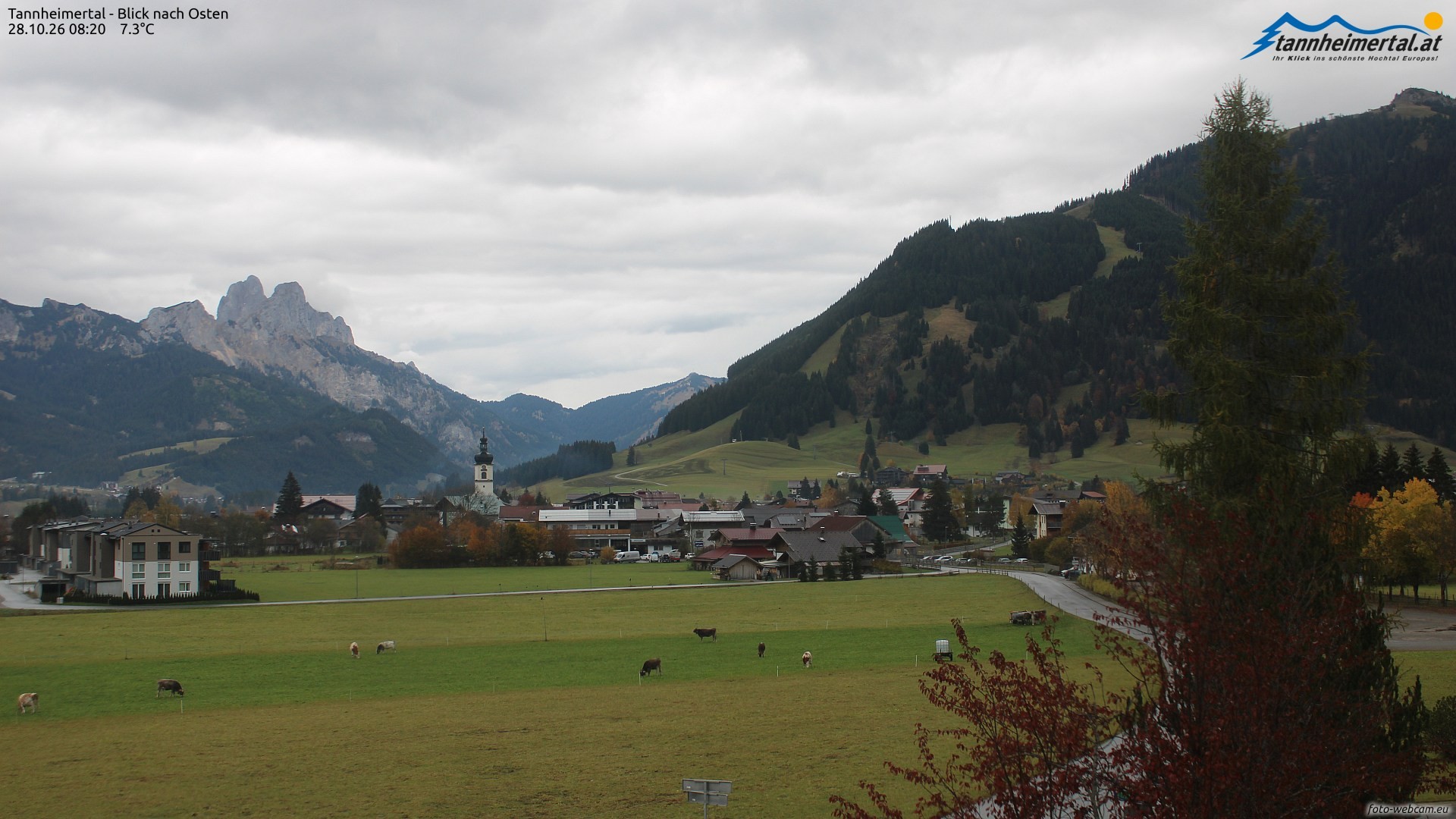 Archiv Foto Webcam Blick ins Tannheimer Tal
