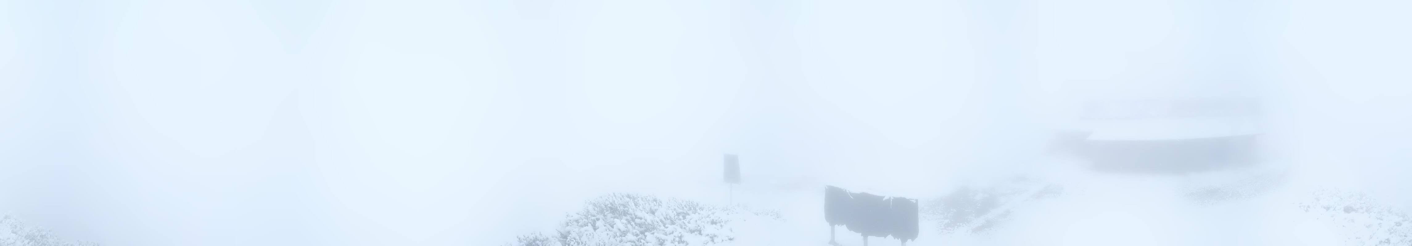 Archiv Foto Webcam Bergstation des Reckmoos-Sessellifts