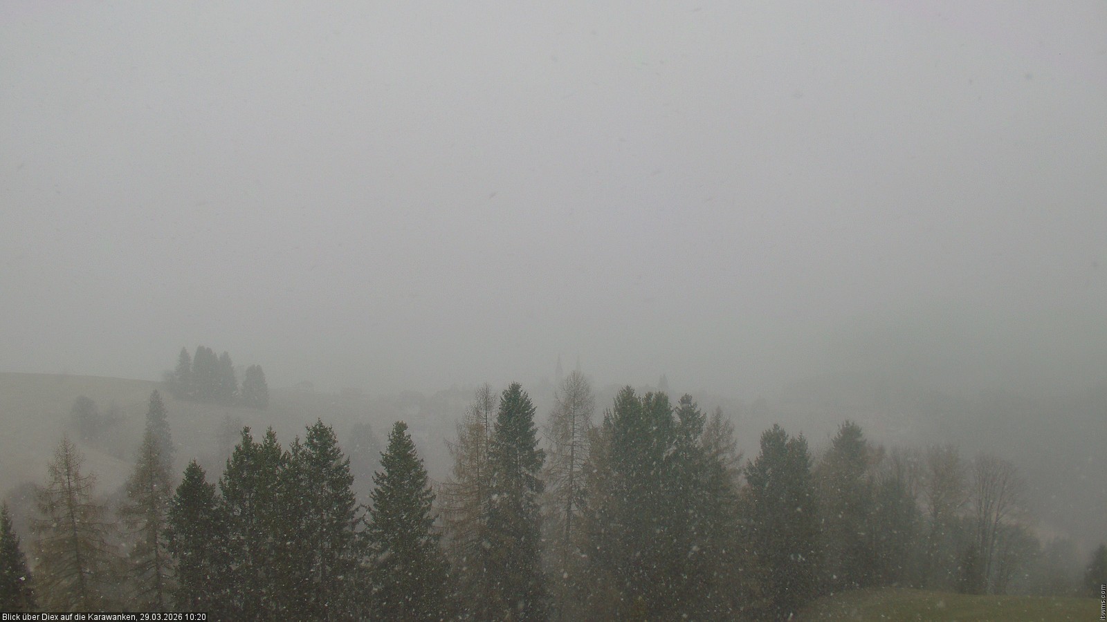 Archiv Foto Webcam Gemeinde Diex