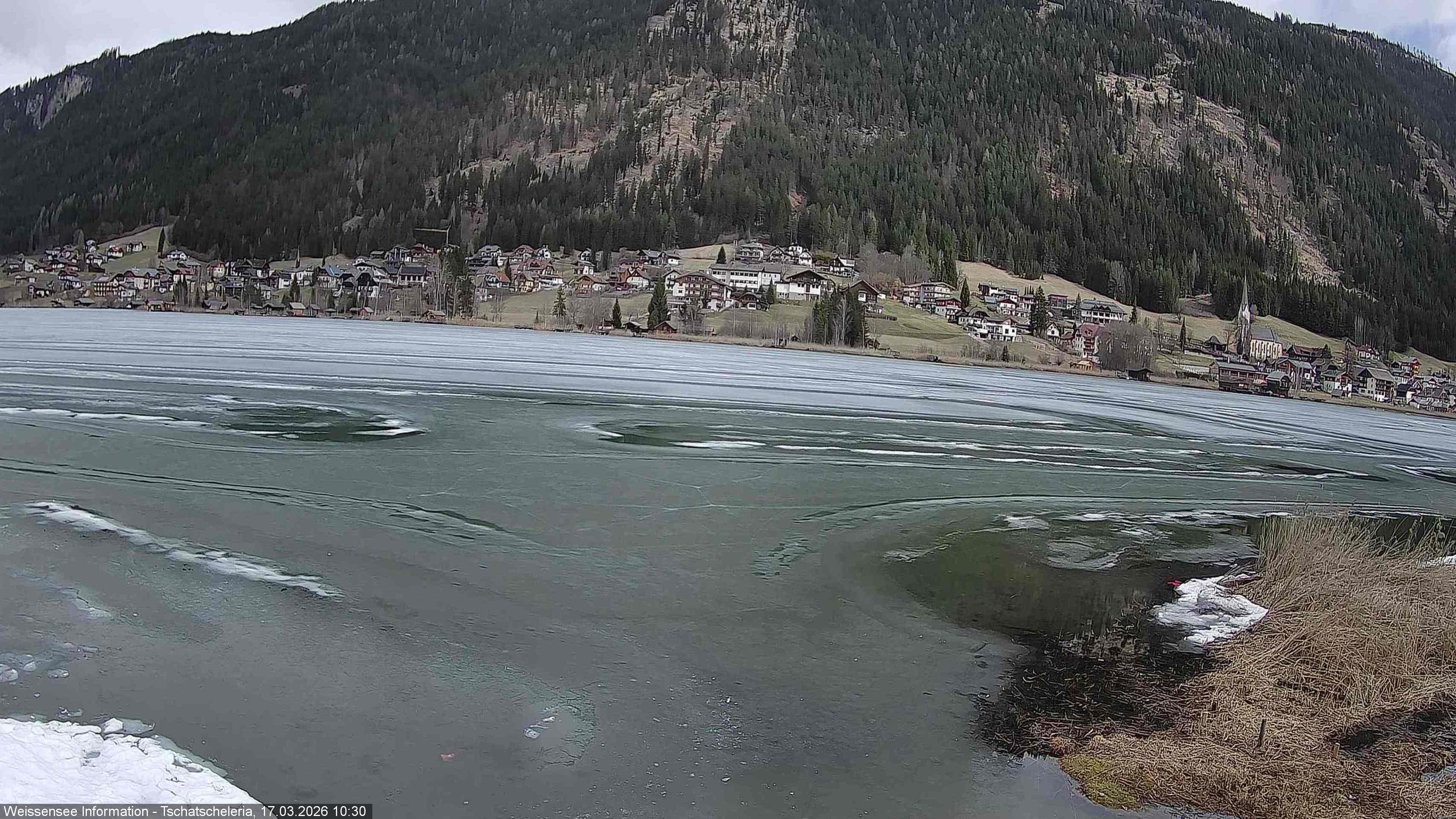 Archiv Foto Webcam Weissensee: Seeblick von Tschatscheleria