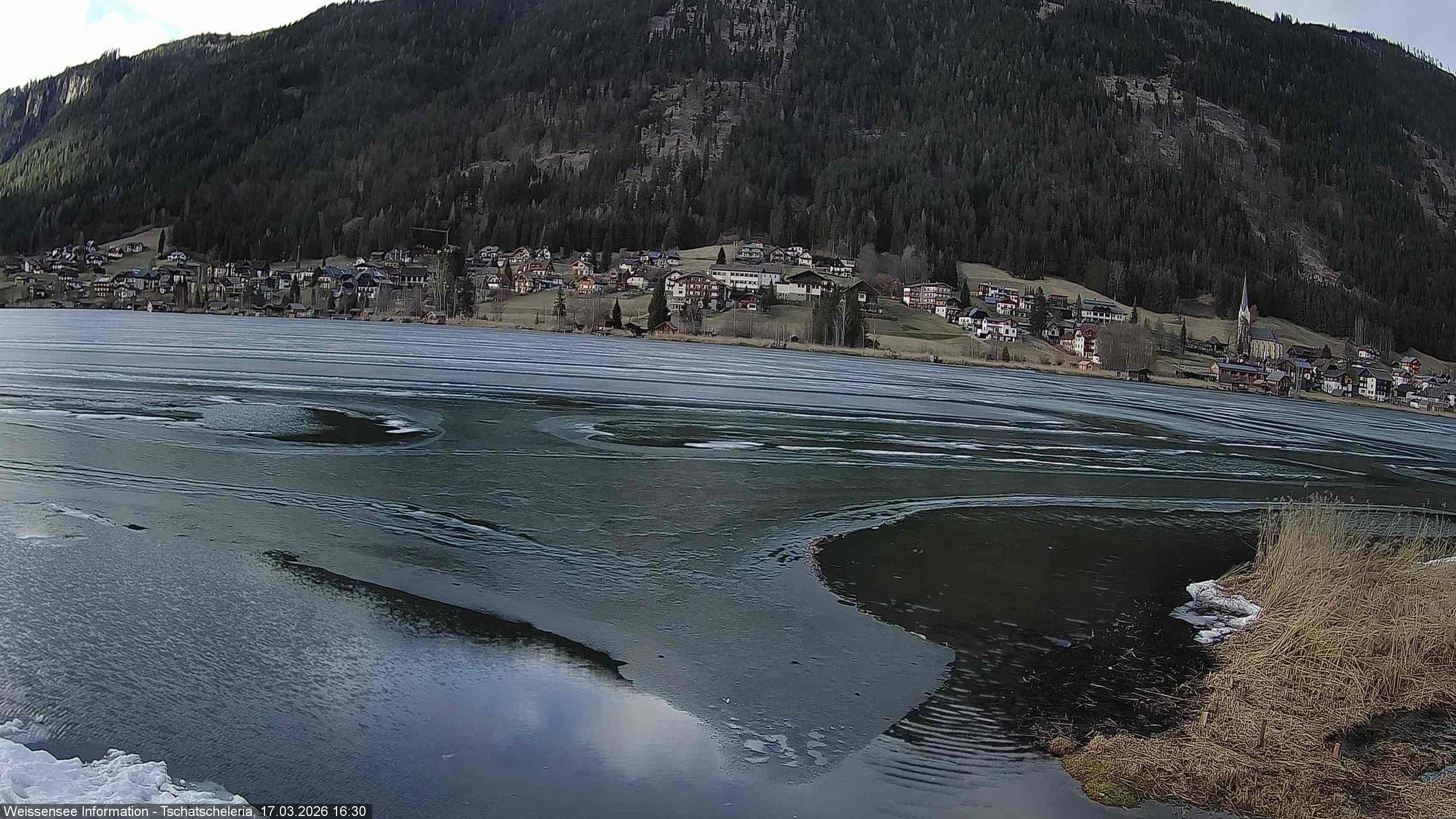 Archiv Foto Webcam Weissensee: Seeblick von Tschatscheleria