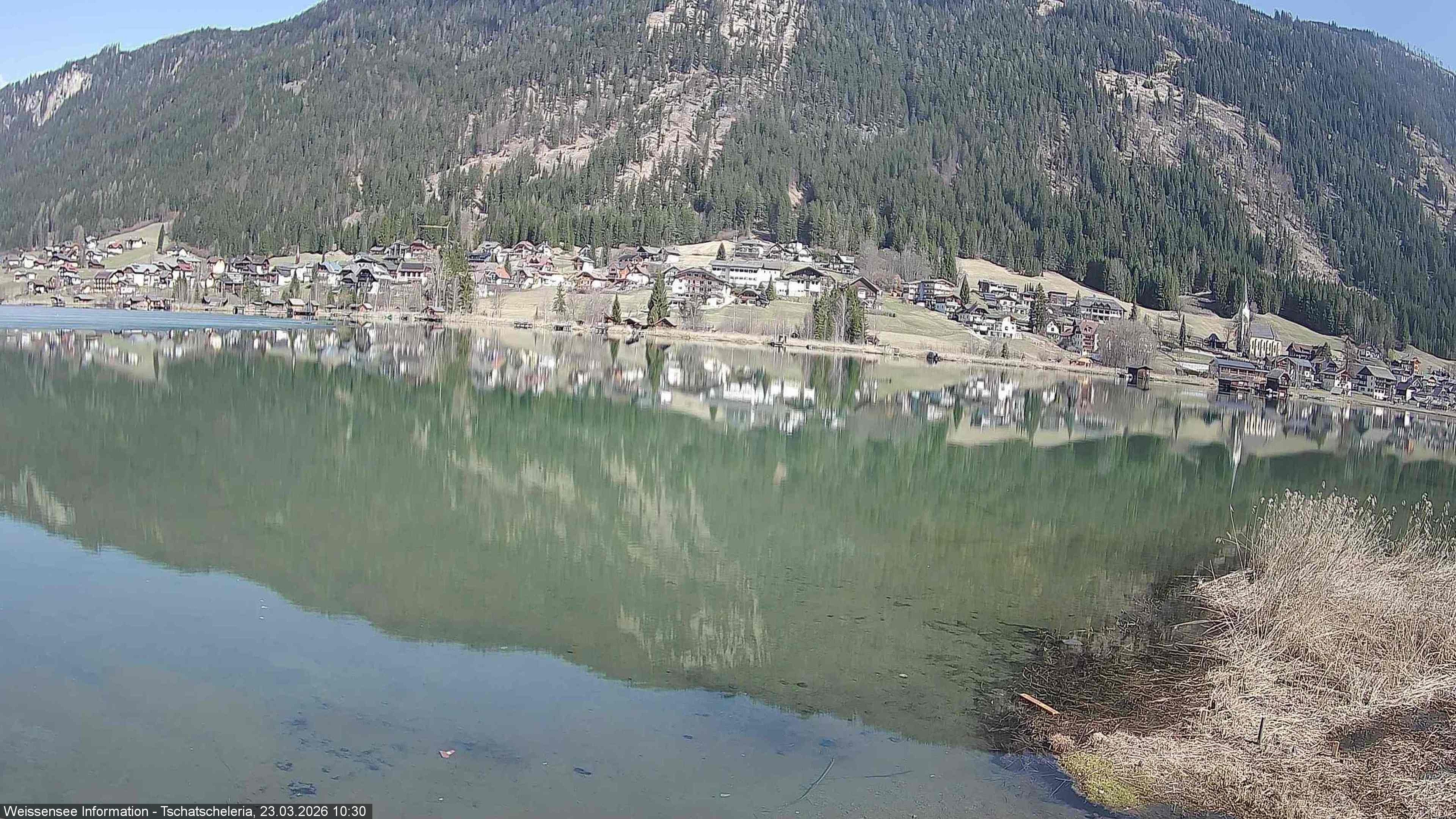 Archiv Foto Webcam Weissensee: Seeblick von Tschatscheleria