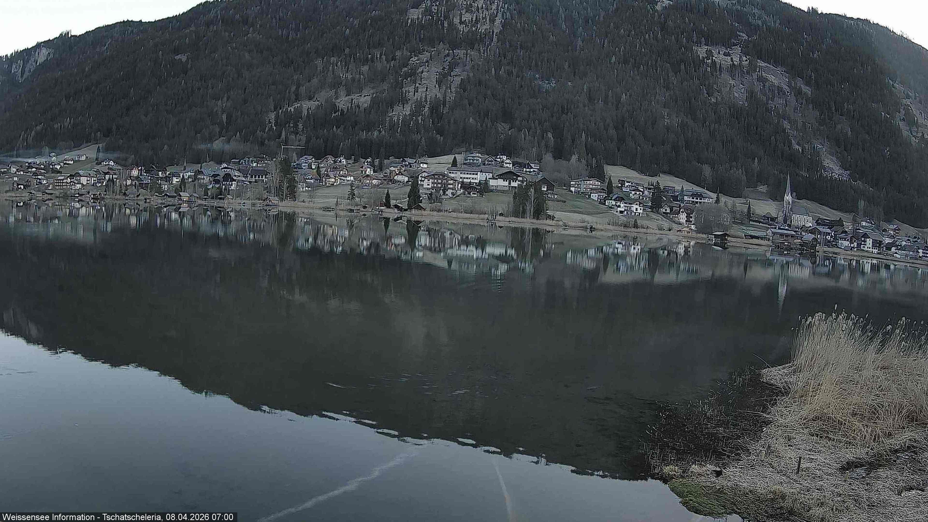 Archiv Foto Webcam Weissensee: Seeblick von Tschatscheleria