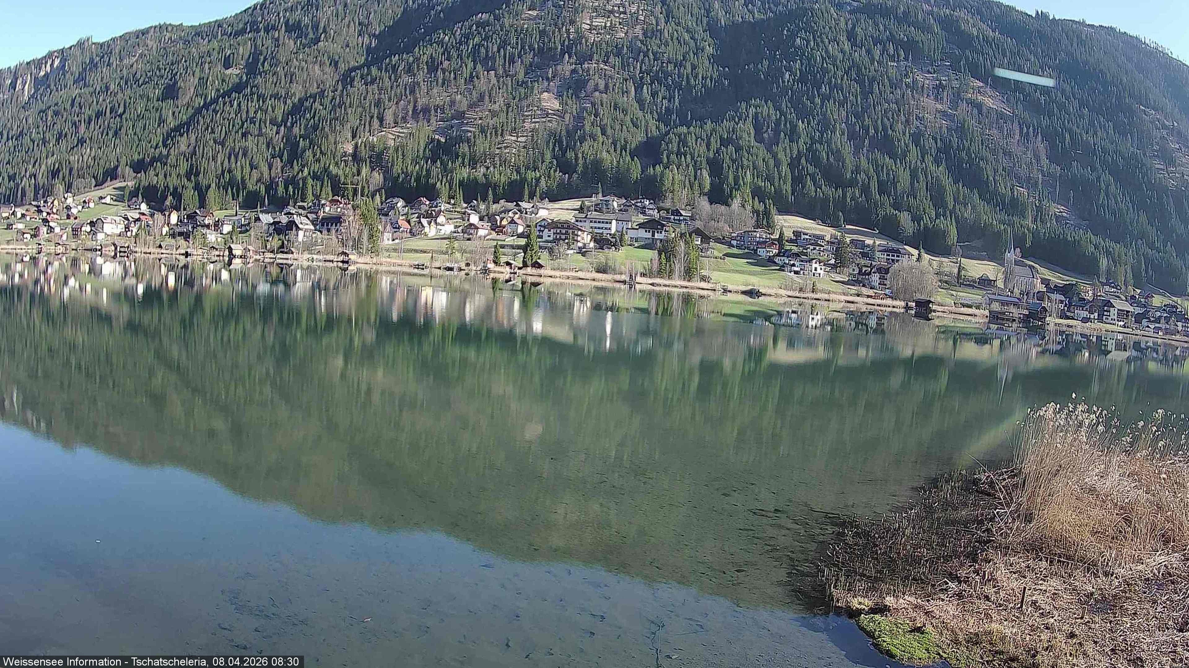 Archiv Foto Webcam Weissensee: Seeblick von Tschatscheleria