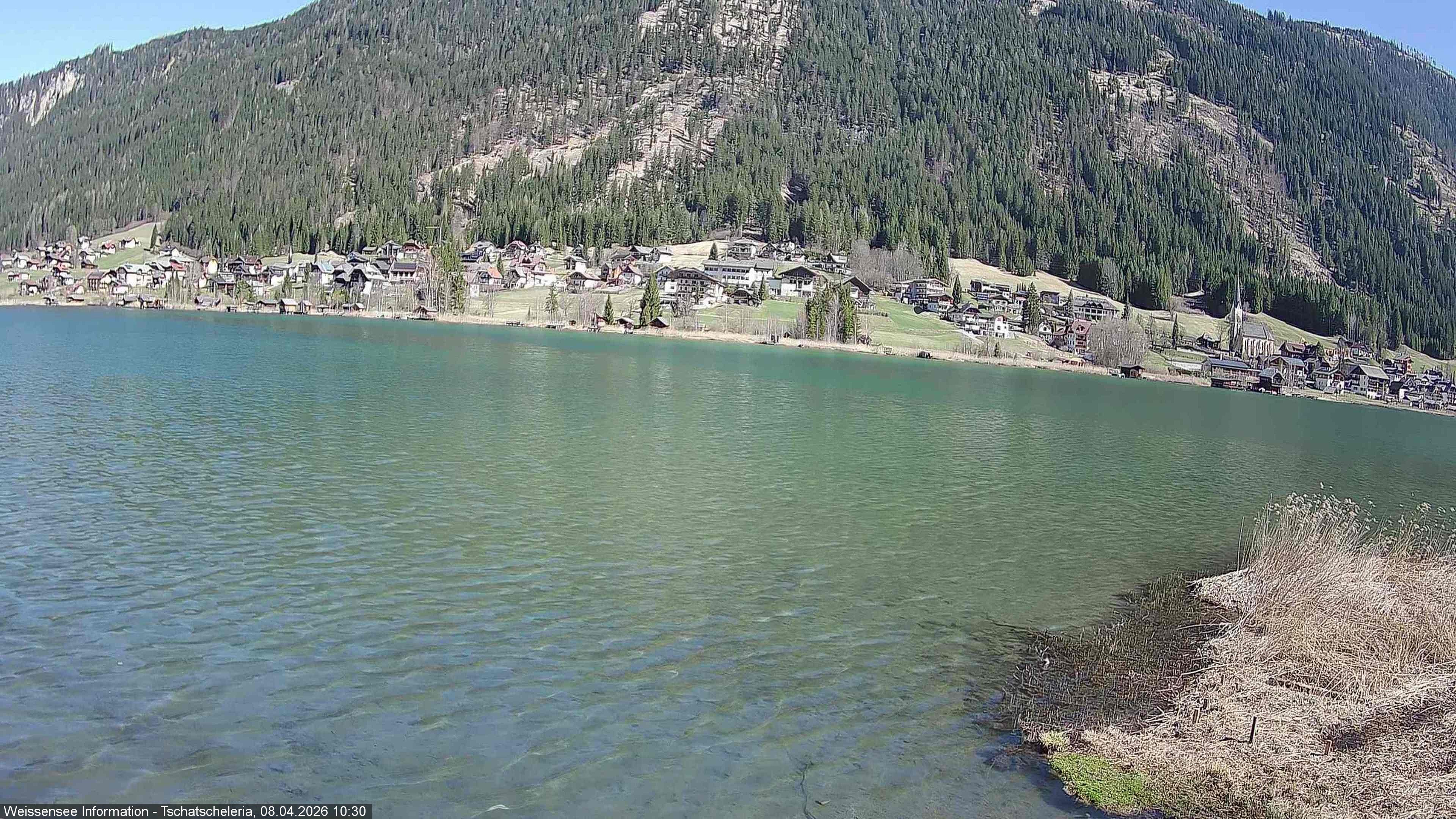 Archiv Foto Webcam Weissensee: Seeblick von Tschatscheleria