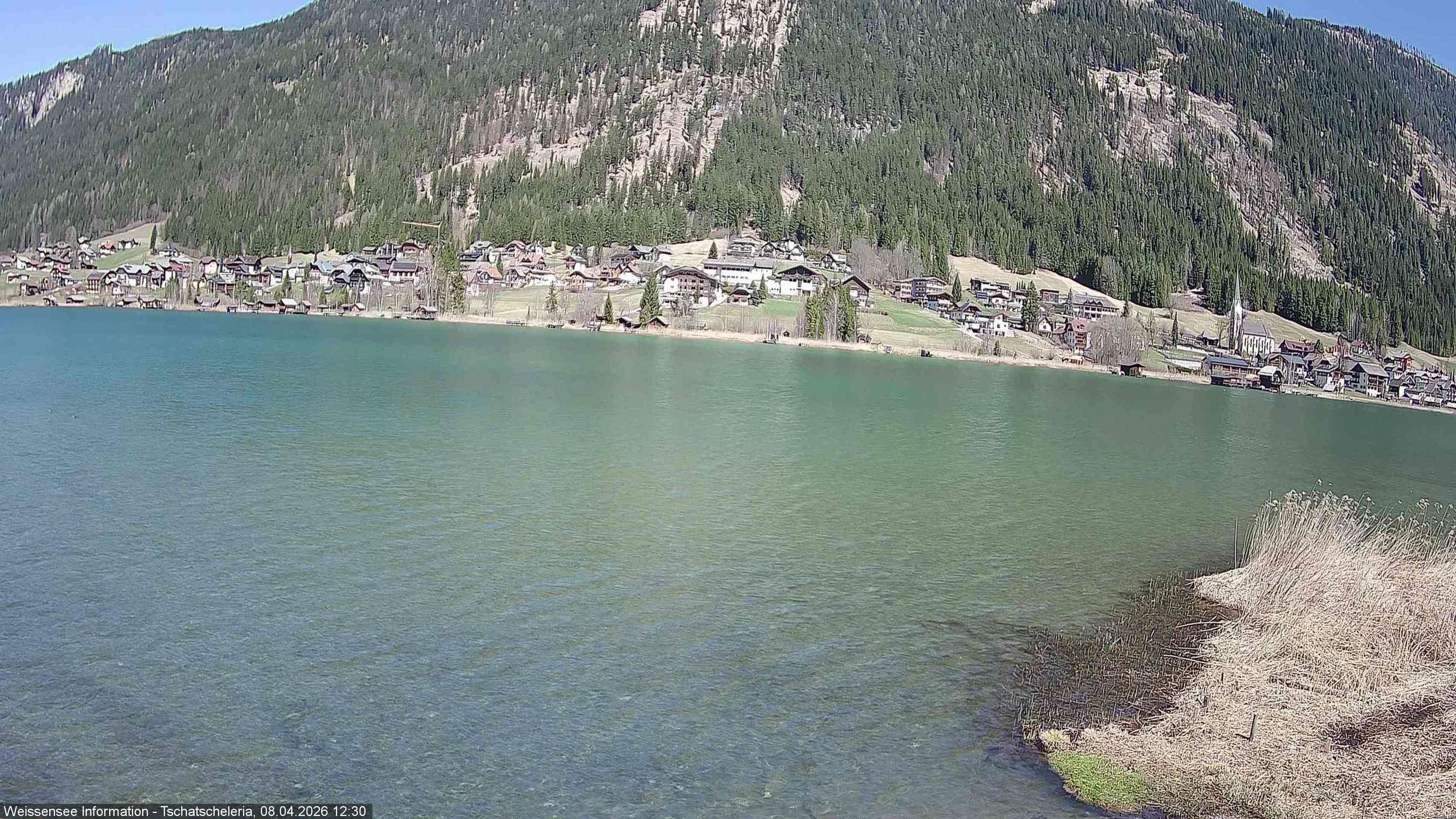Archiv Foto Webcam Weissensee: Seeblick von Tschatscheleria