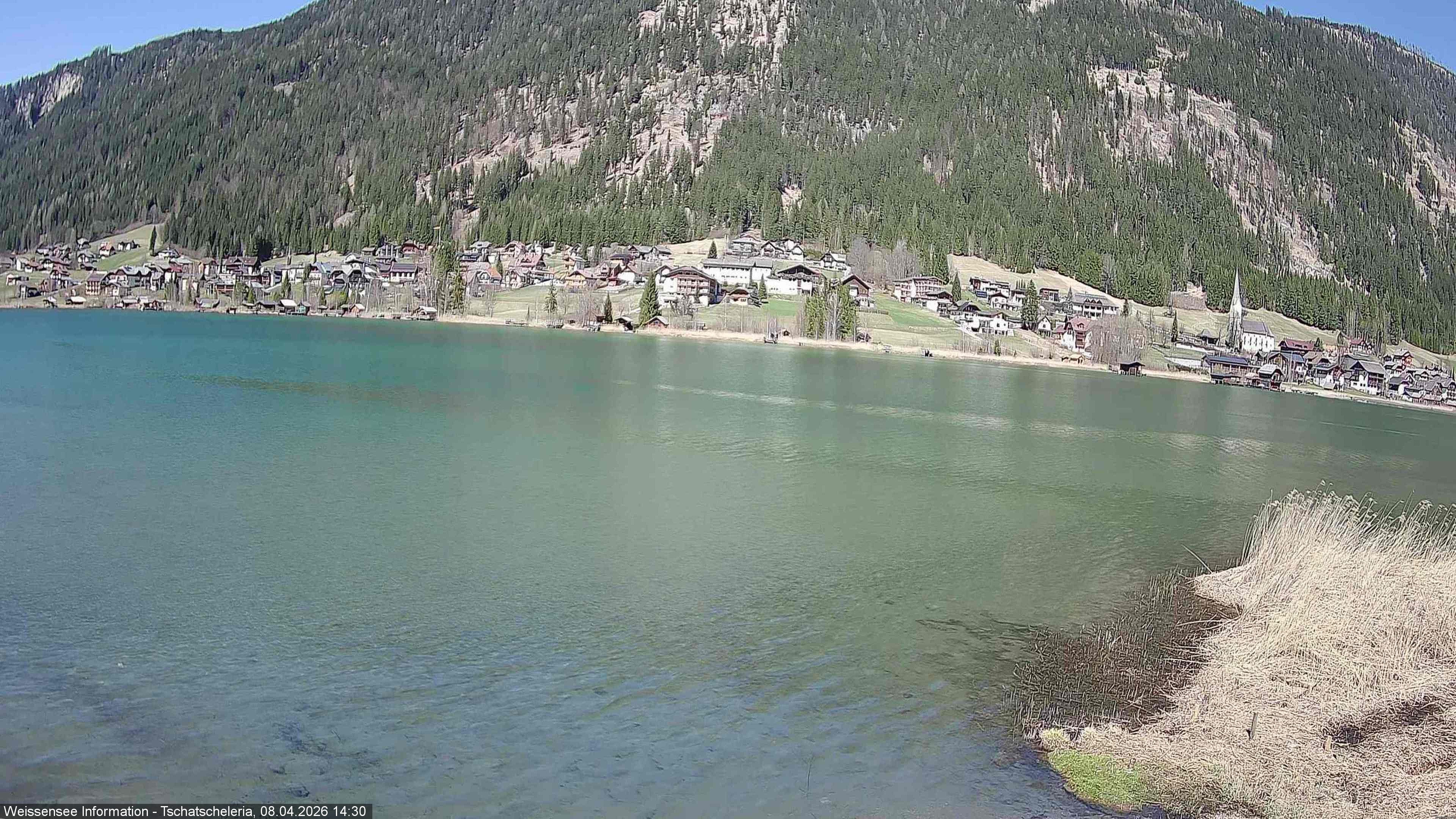 Archiv Foto Webcam Weissensee: Seeblick von Tschatscheleria