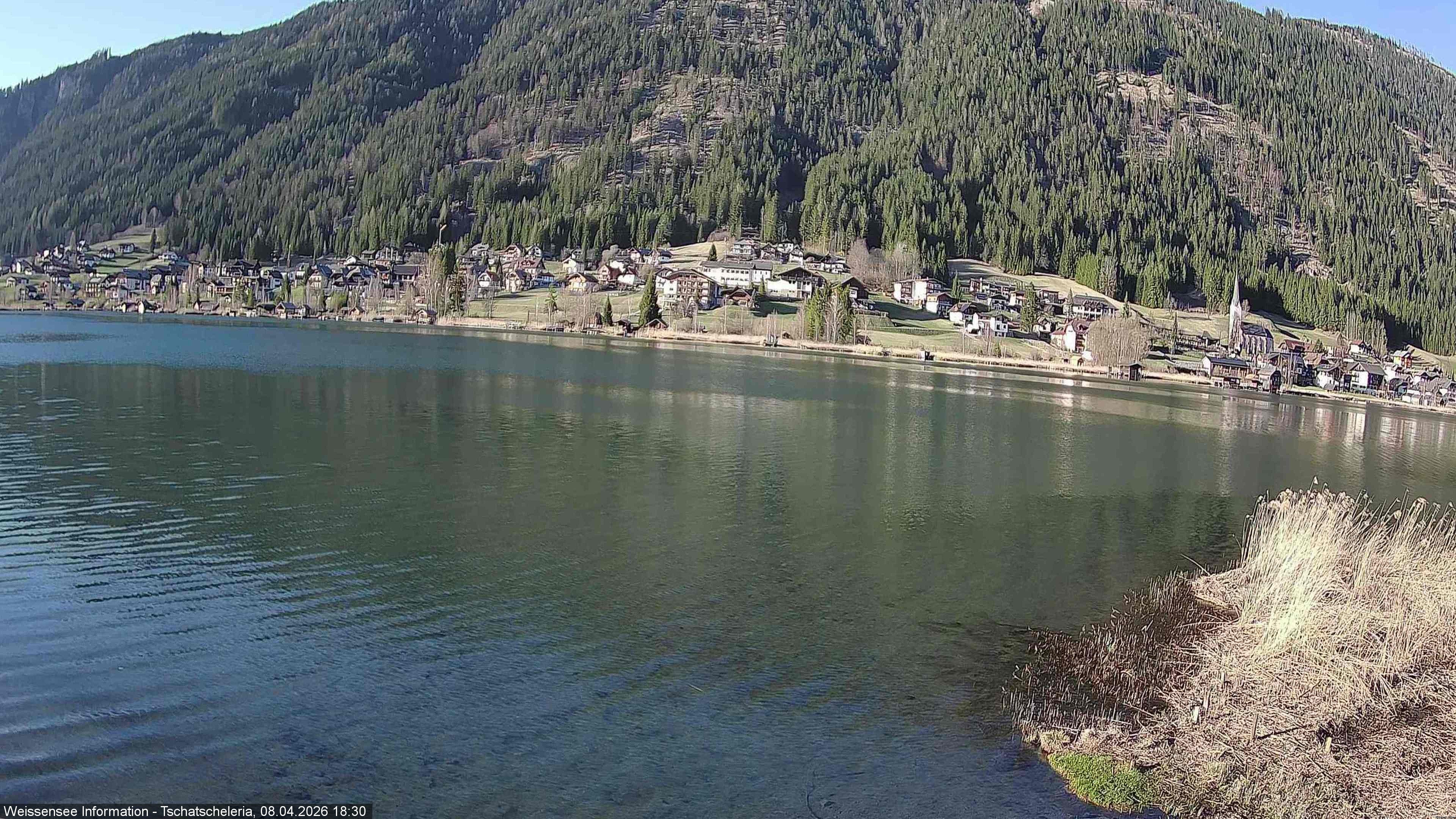 Archiv Foto Webcam Weissensee: Seeblick von Tschatscheleria