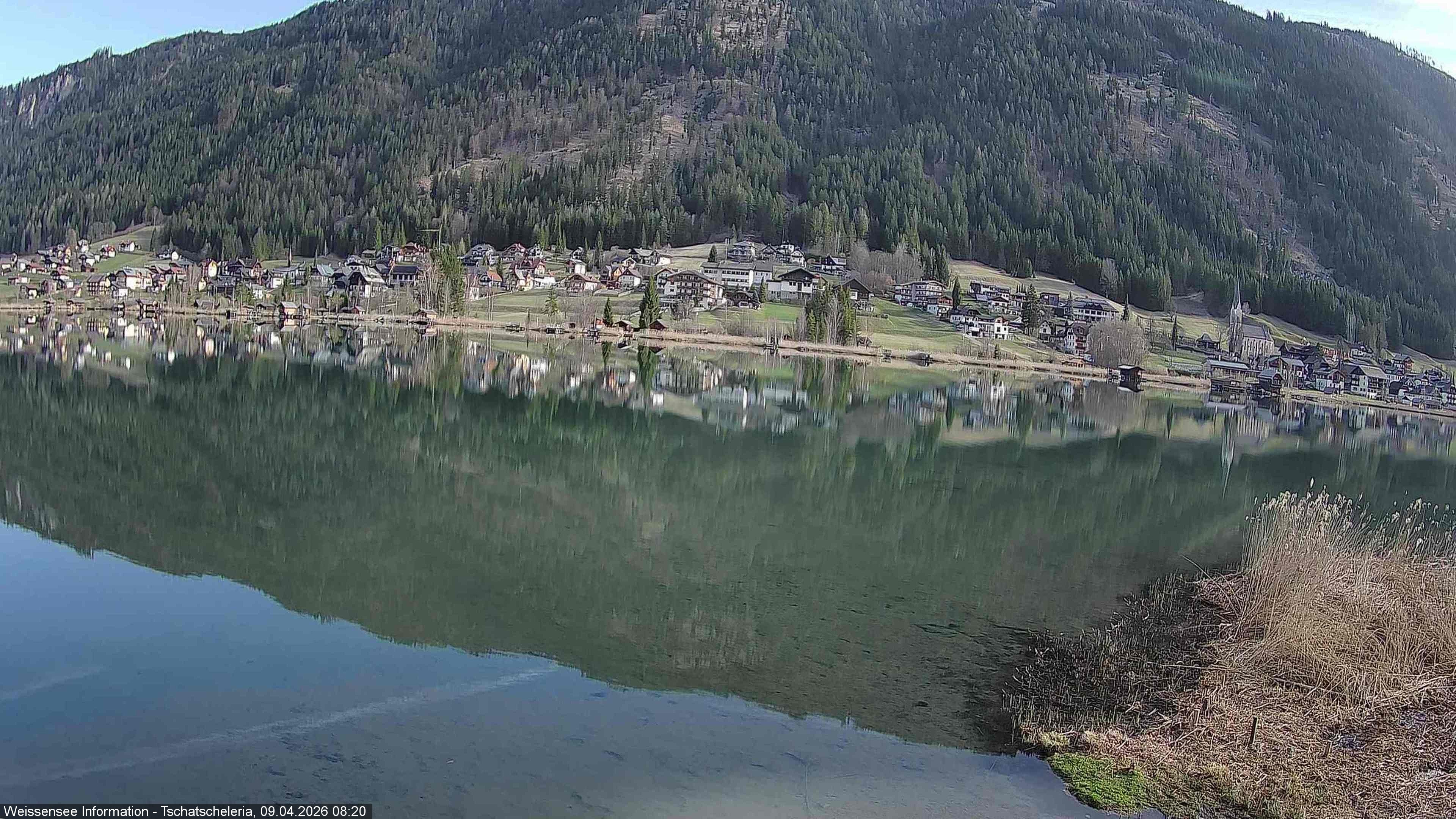 Archiv Foto Webcam Weissensee: Seeblick von Tschatscheleria