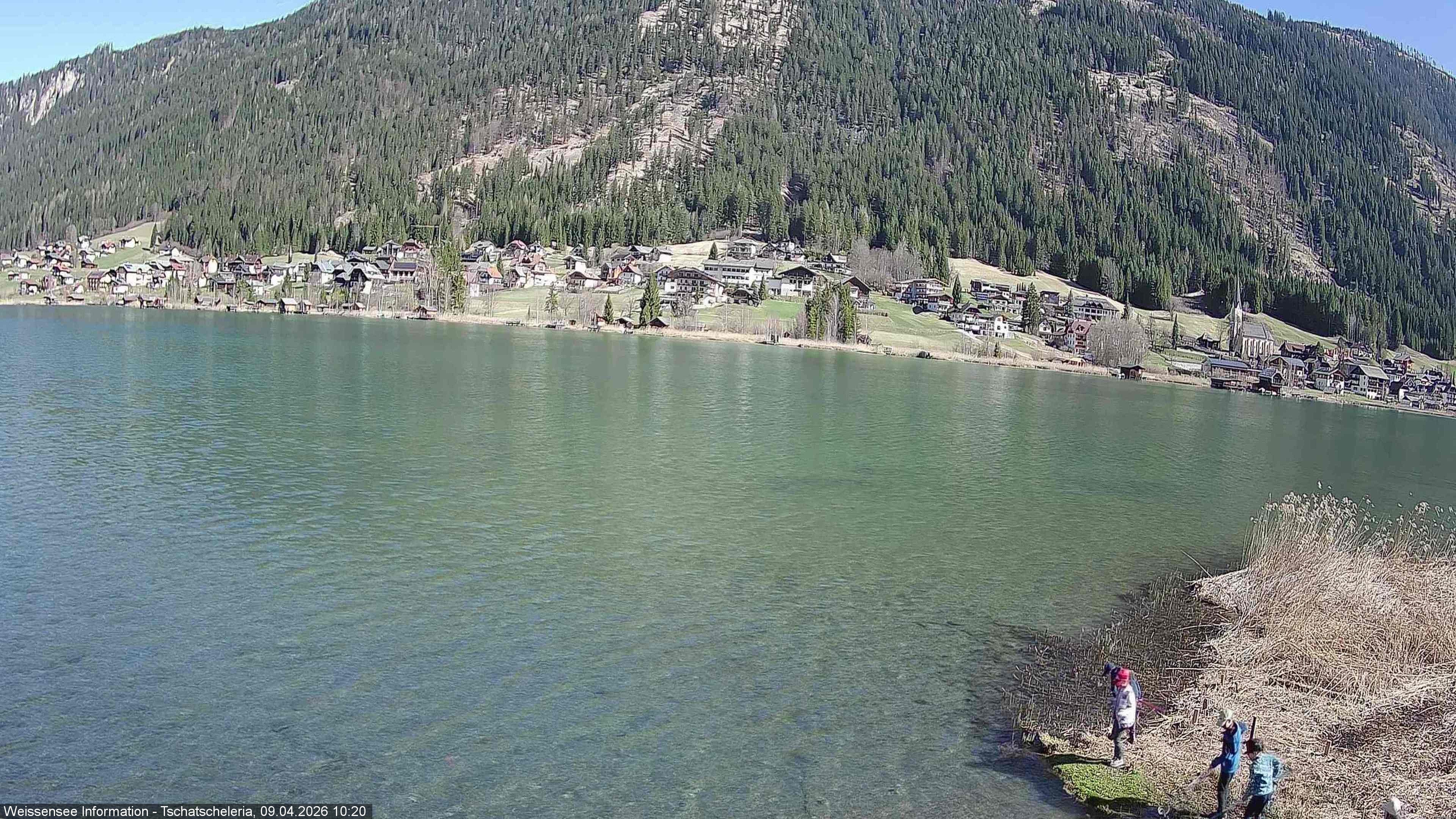 Archiv Foto Webcam Weissensee: Seeblick von Tschatscheleria